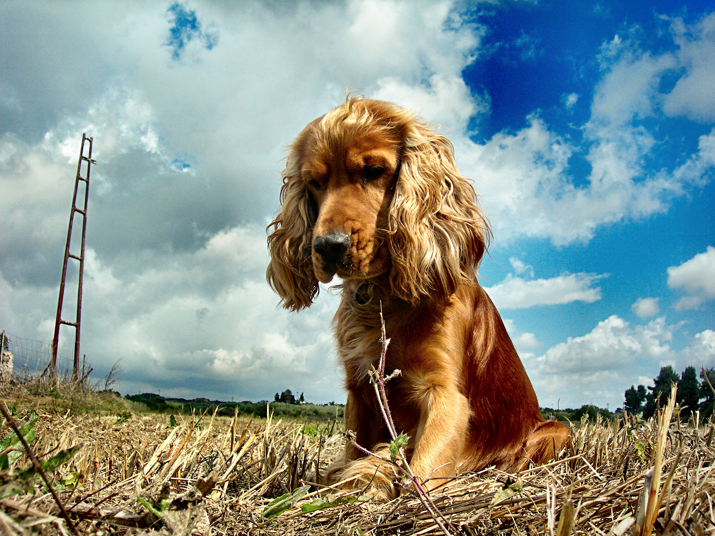 Ray and the electric blue sky