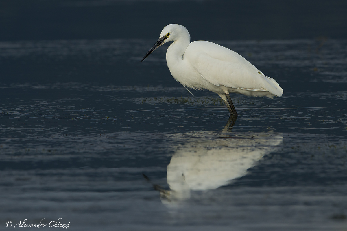 The reflection of brushed
