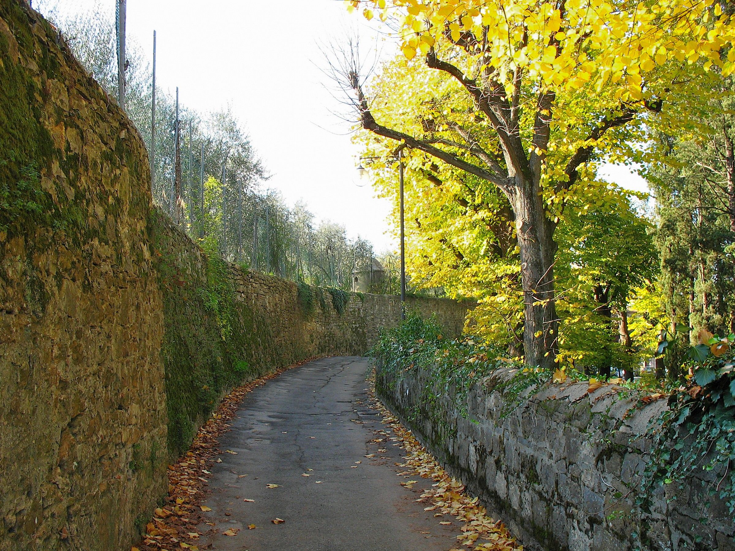 A stone's throw from Florence