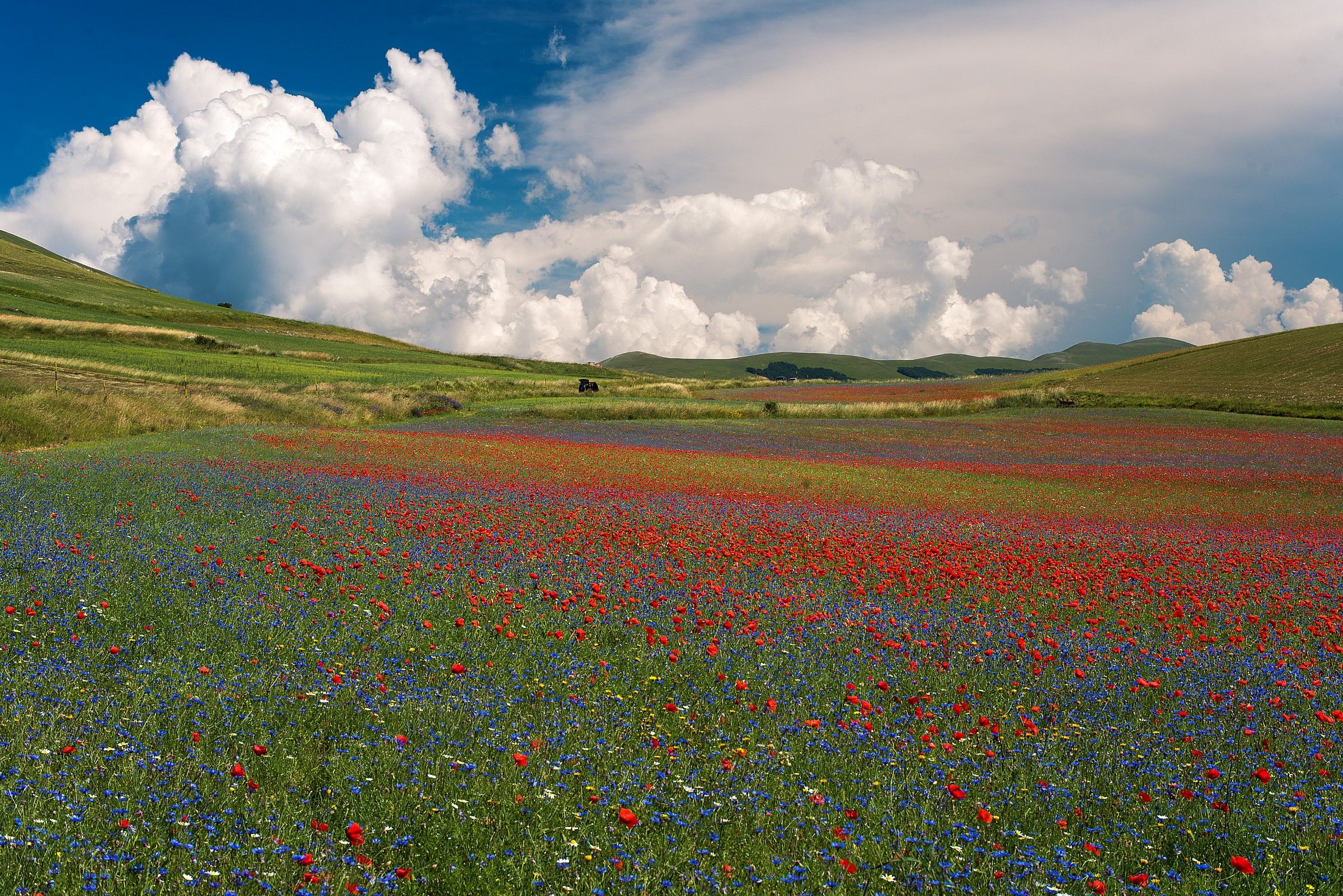 the colors of the Plain of Castelluccio