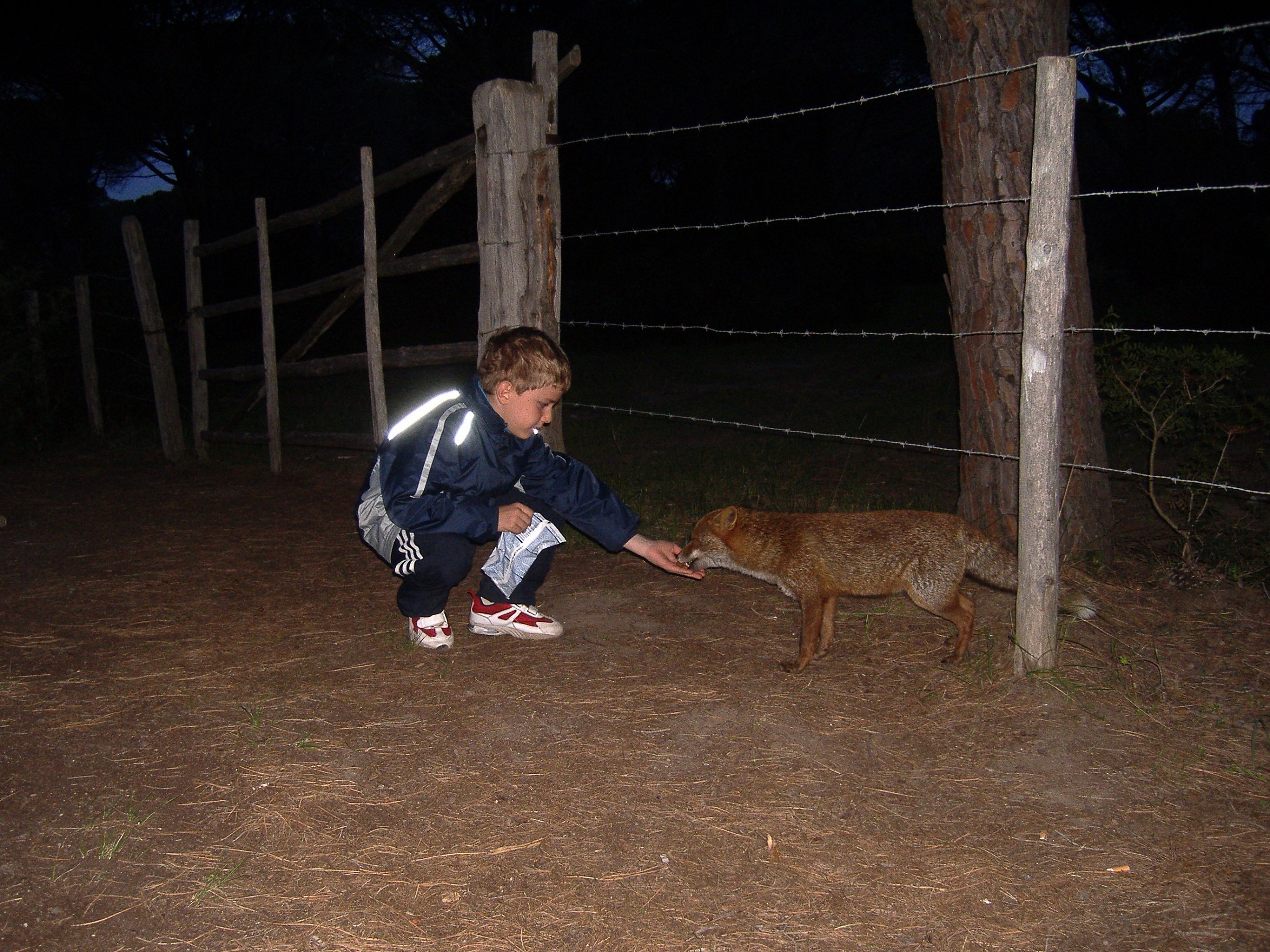 La volpe ed il bambino