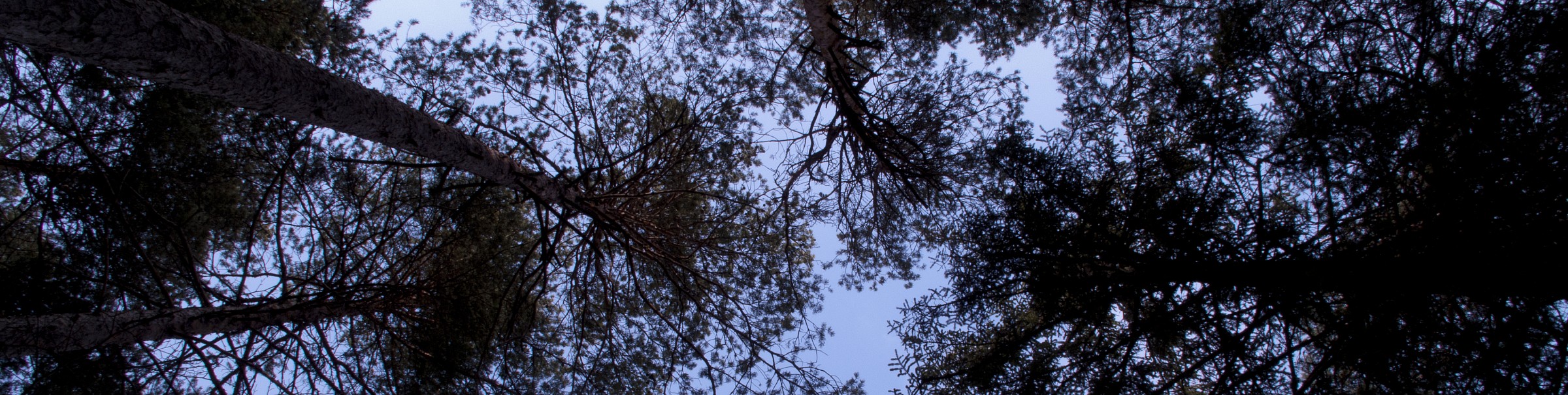 Steccati di legno in Alto Adige