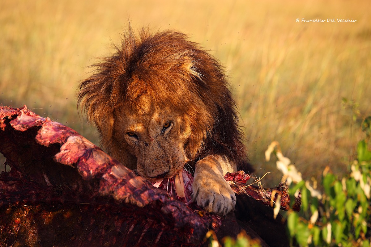 Notch 2, one of the famous notches