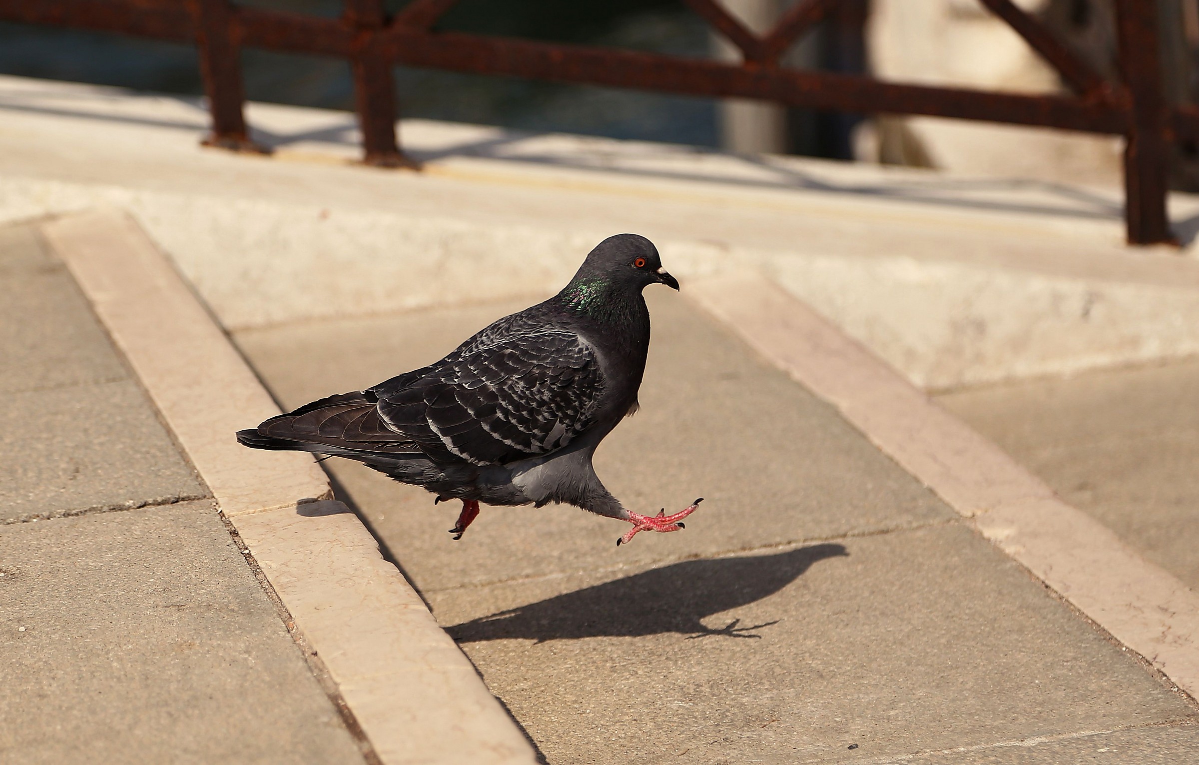 passeggiata a venezia