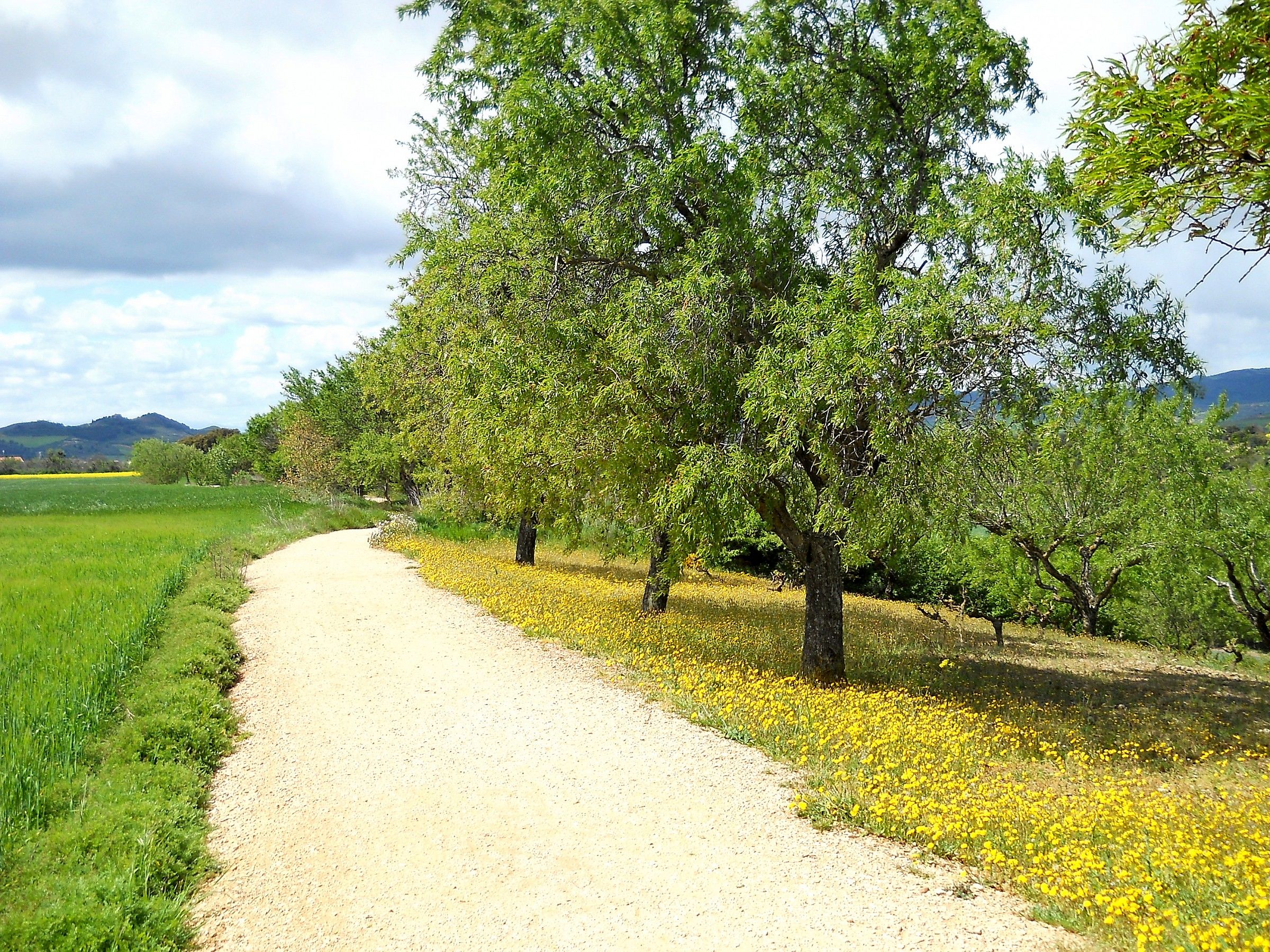 Cammiando in Navarre