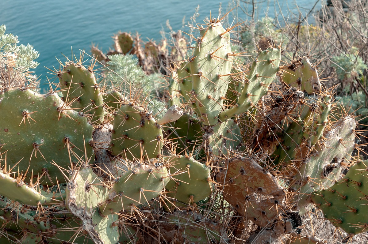 Spine del giudizio...