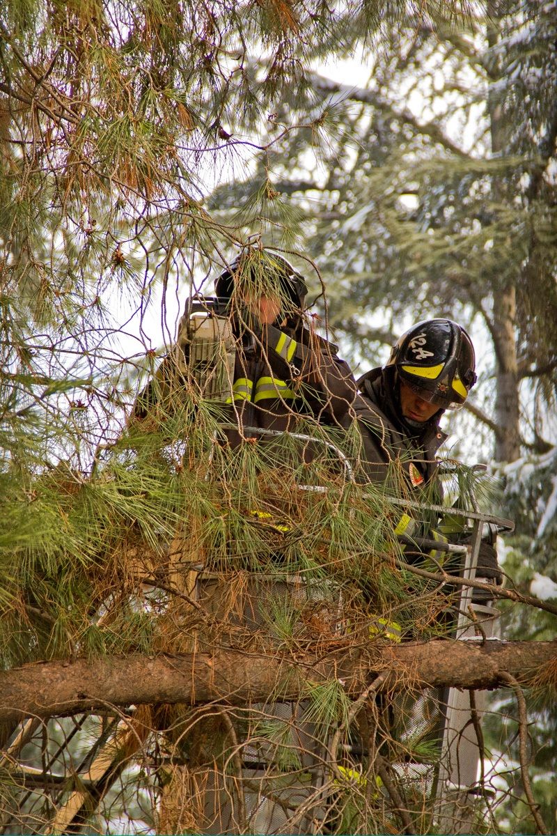 Fire brigade intervention. Rome