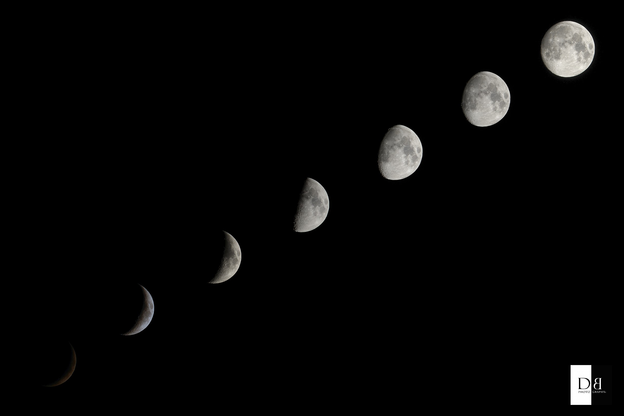 Lunar Cycle