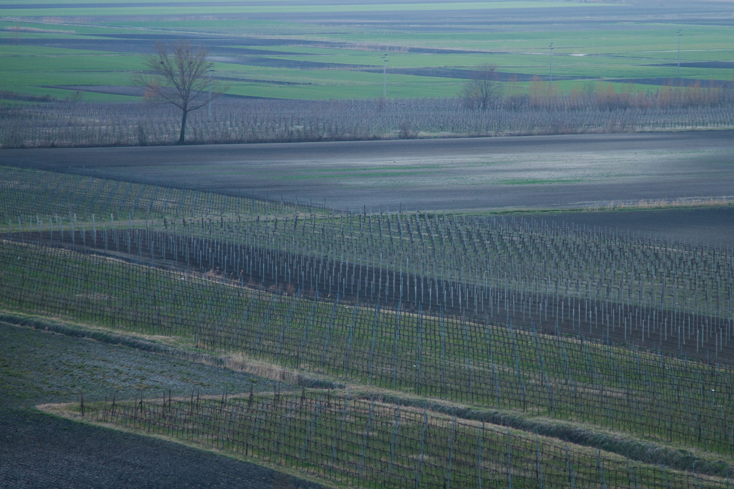 The colors of the countryside