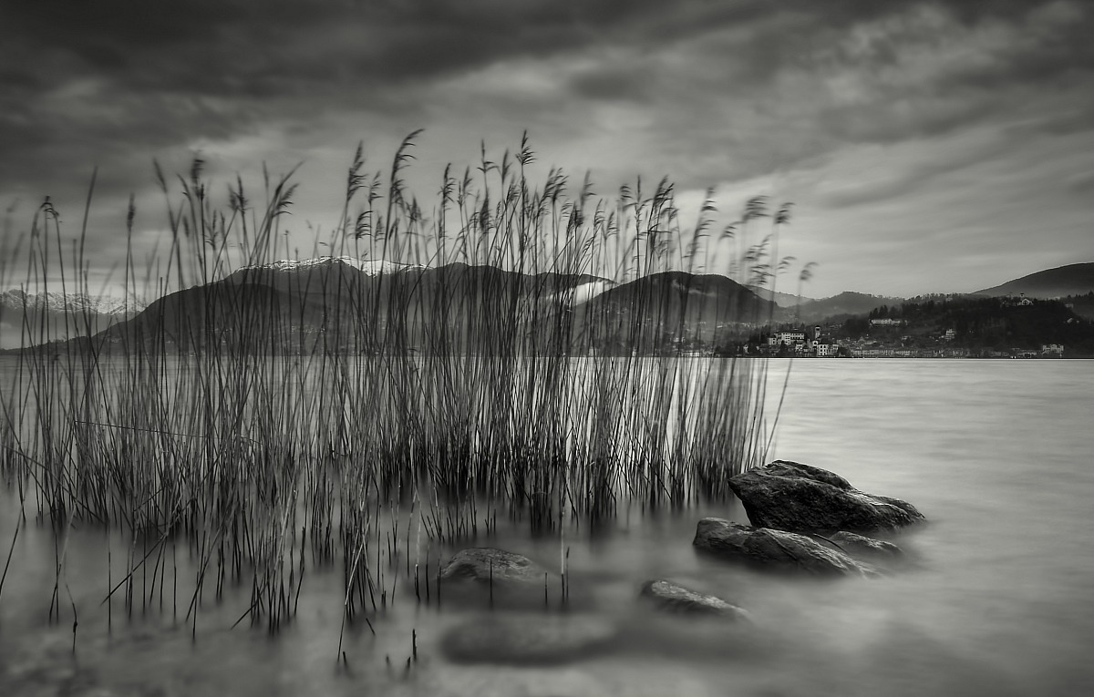 Minimal lacustre in b&w