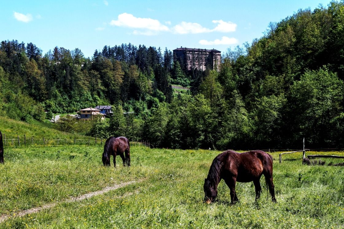 Compiano pascolo e castello