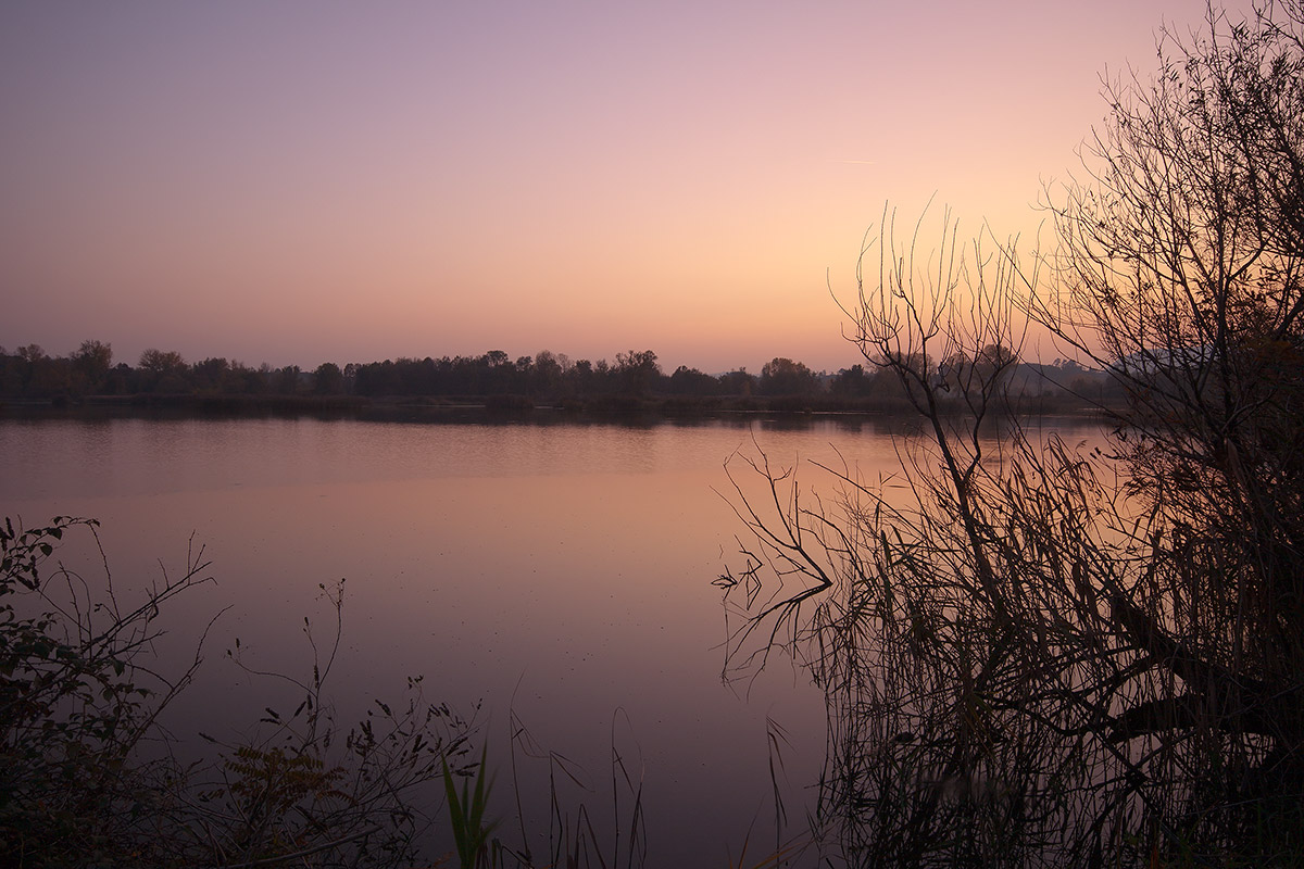 Torbiere del Sebino 7