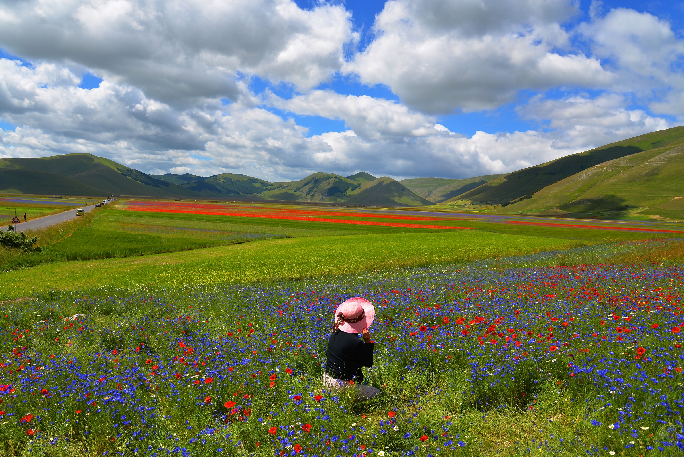 Flowering on the Pian Grande di Castelluccio
