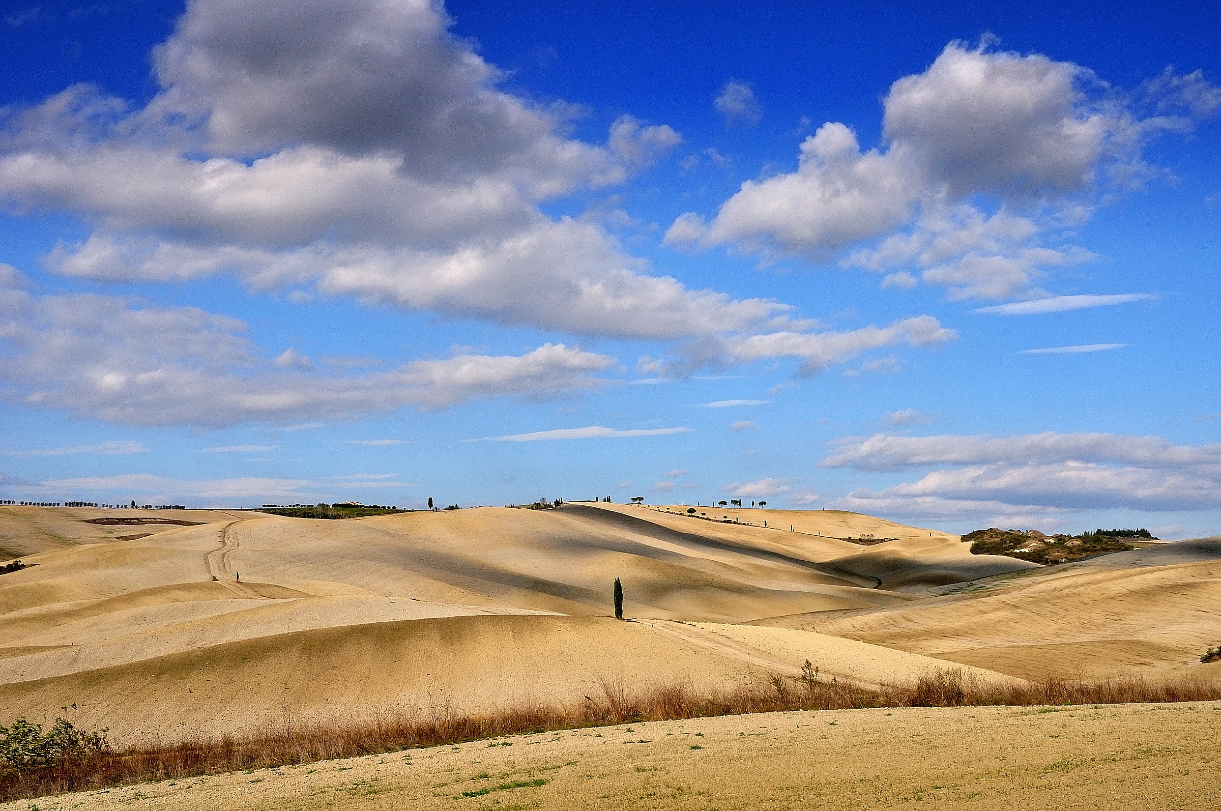 The Hills of San Quirico D'Orcia 3