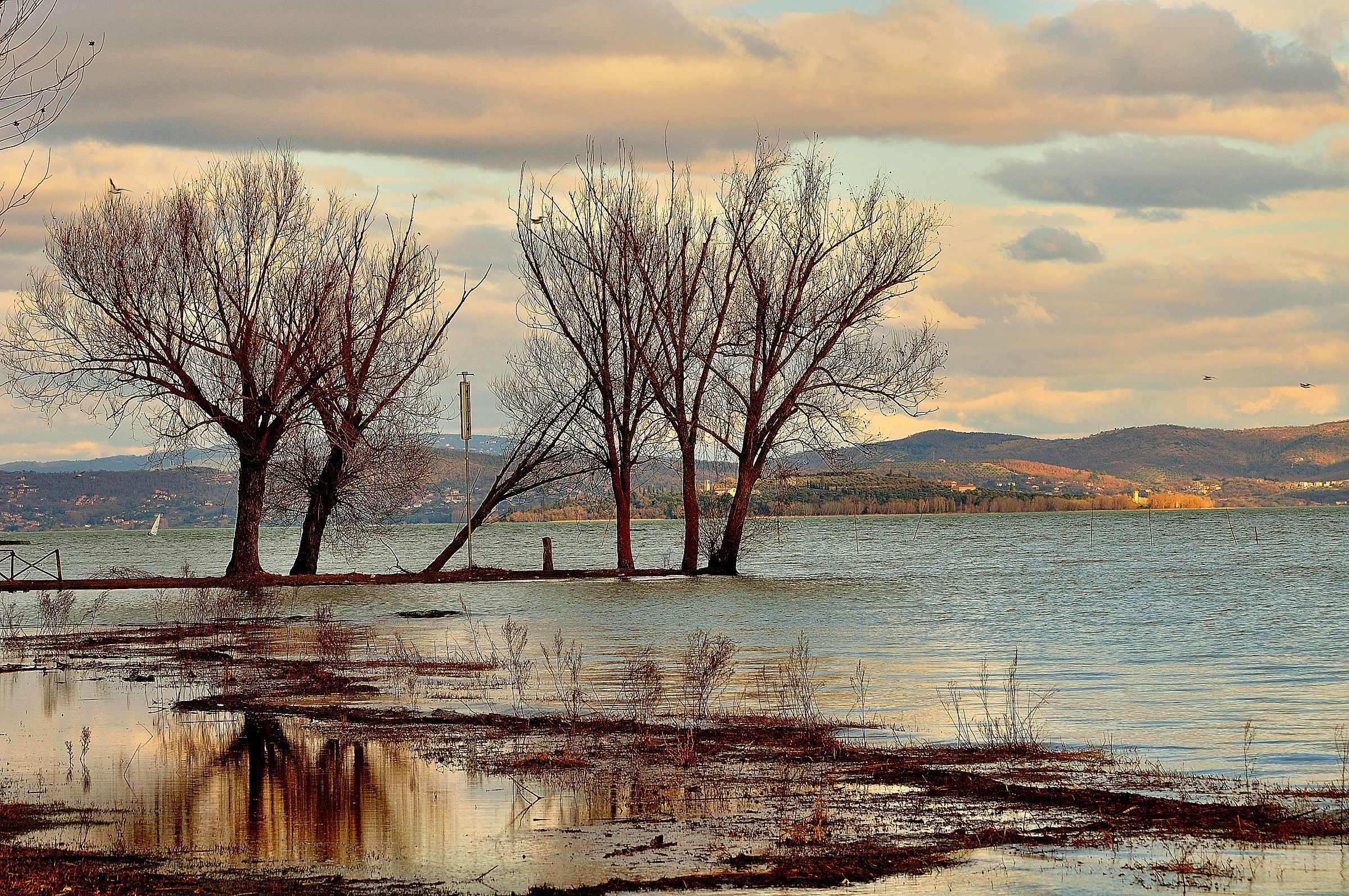 5 colors on the lake