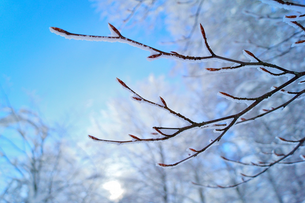 Winter still has the best ...