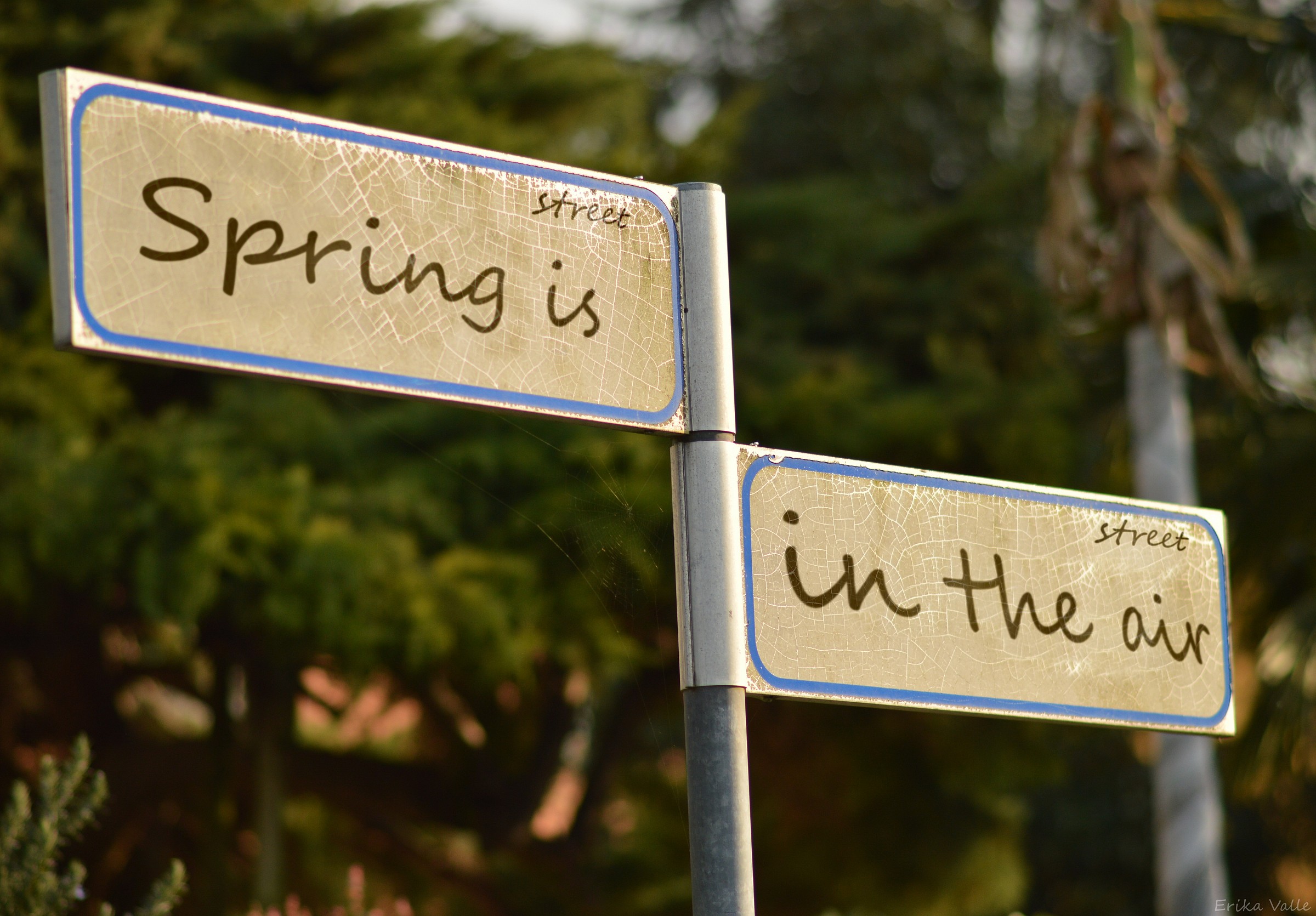 Spring is in the air