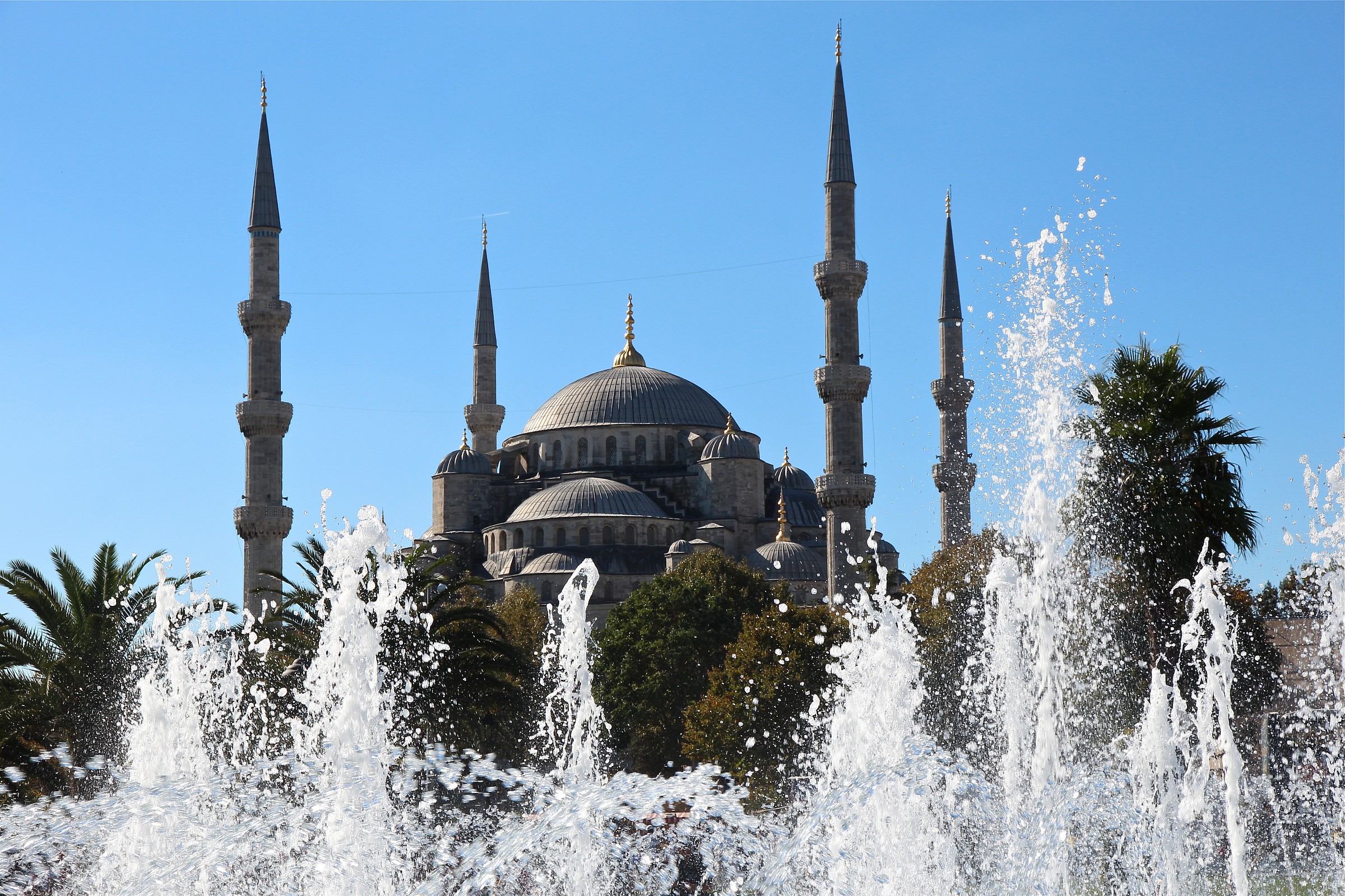 blue mosque