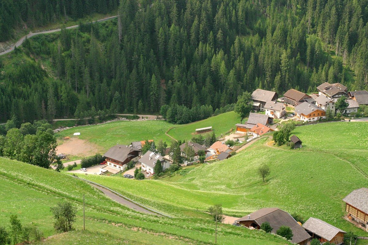 Paesaggio verde di montagna
