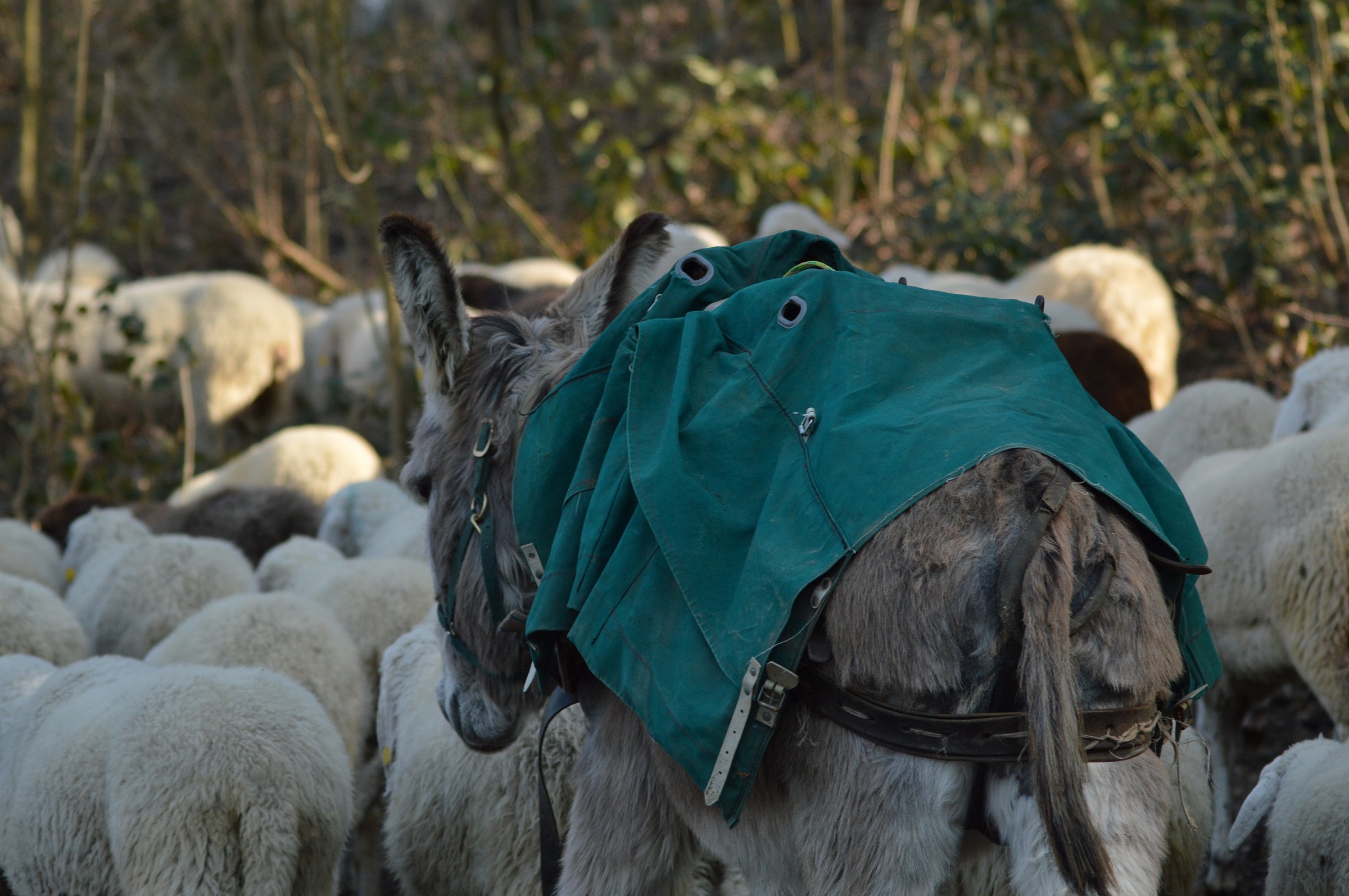 incontro di sguardi 2