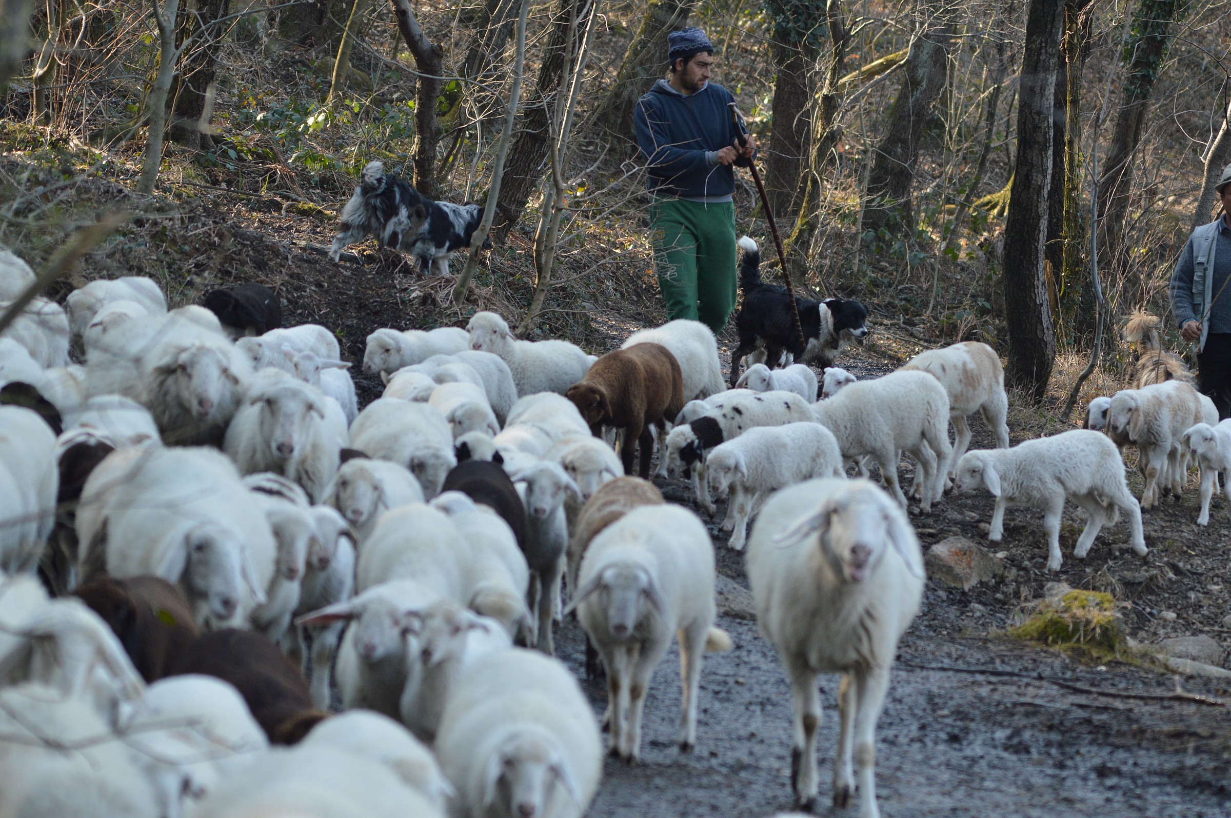 incontro di sguardi 3