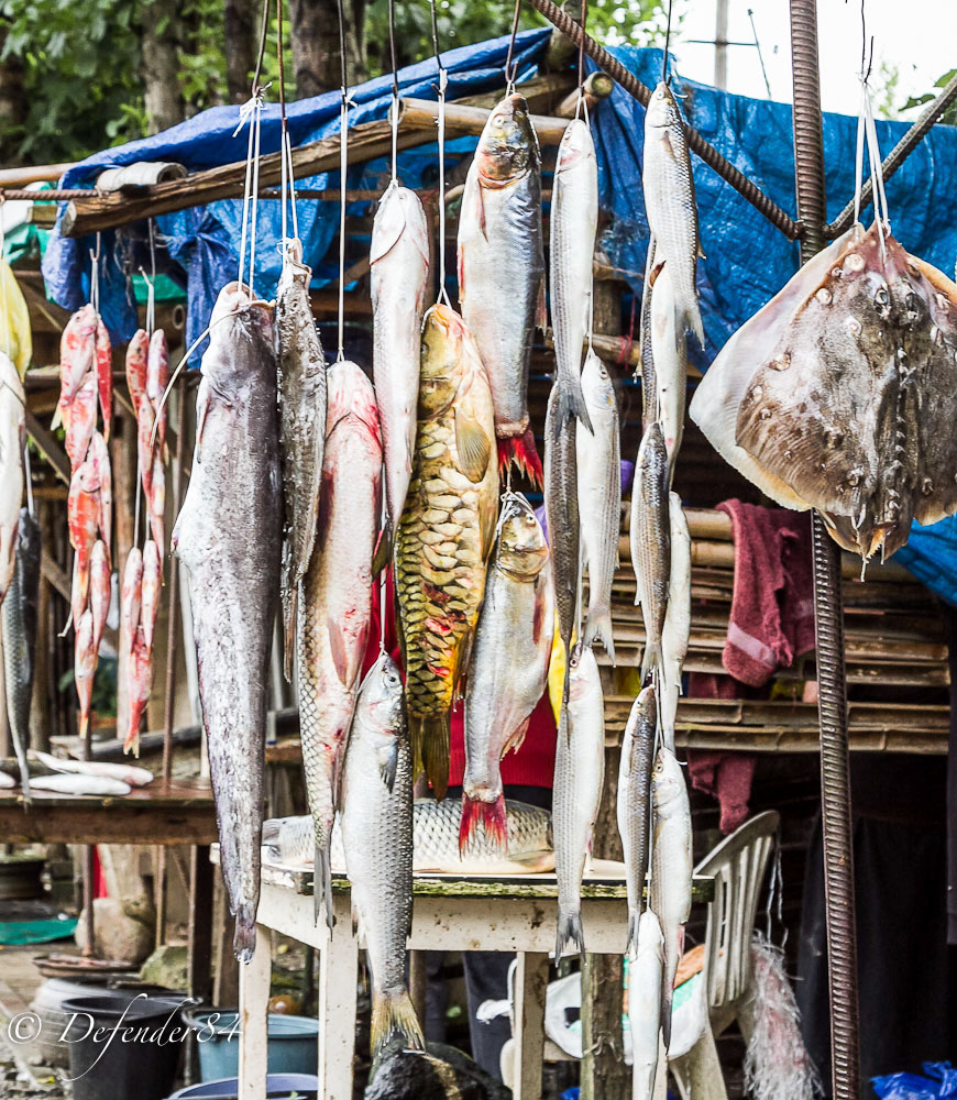Mercato, Tisitelsopeli-Georgia
