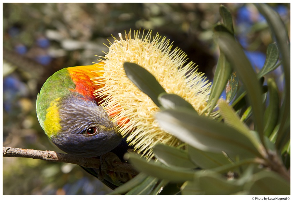 Giochiamo a nascondino