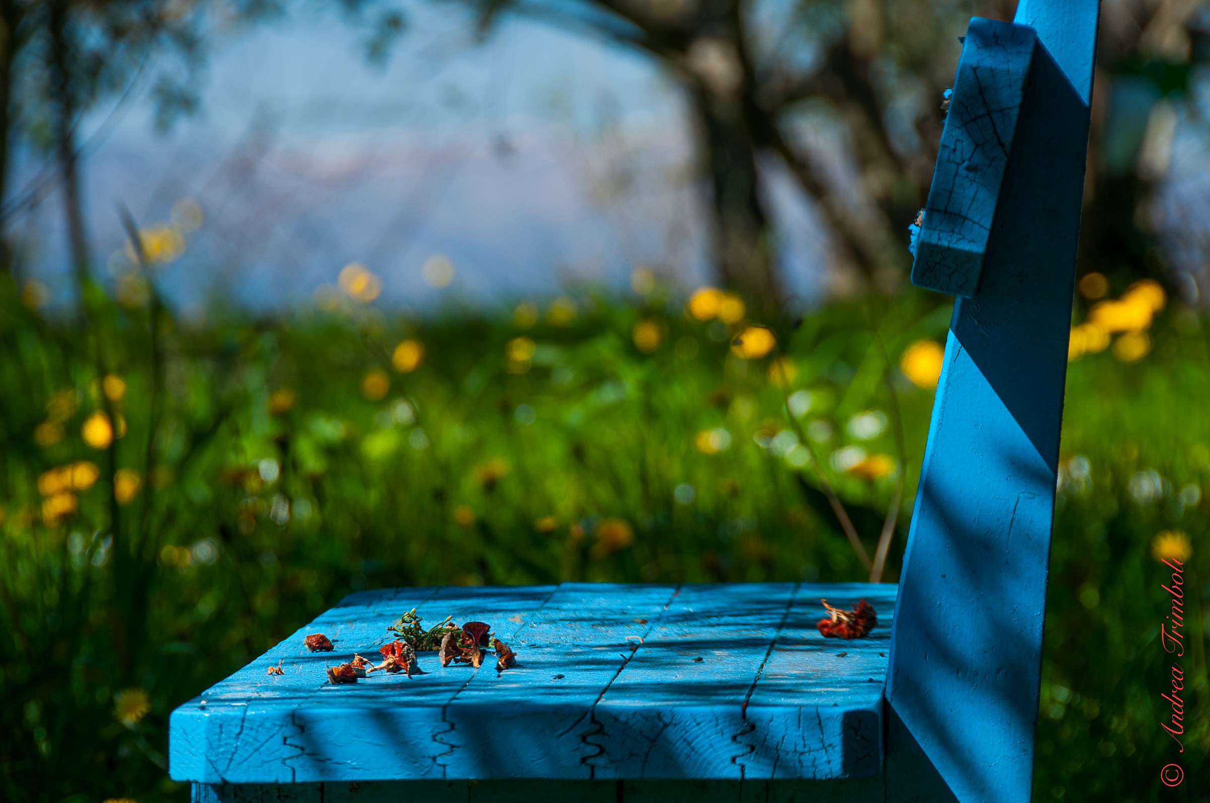 I think ... the colors of spring