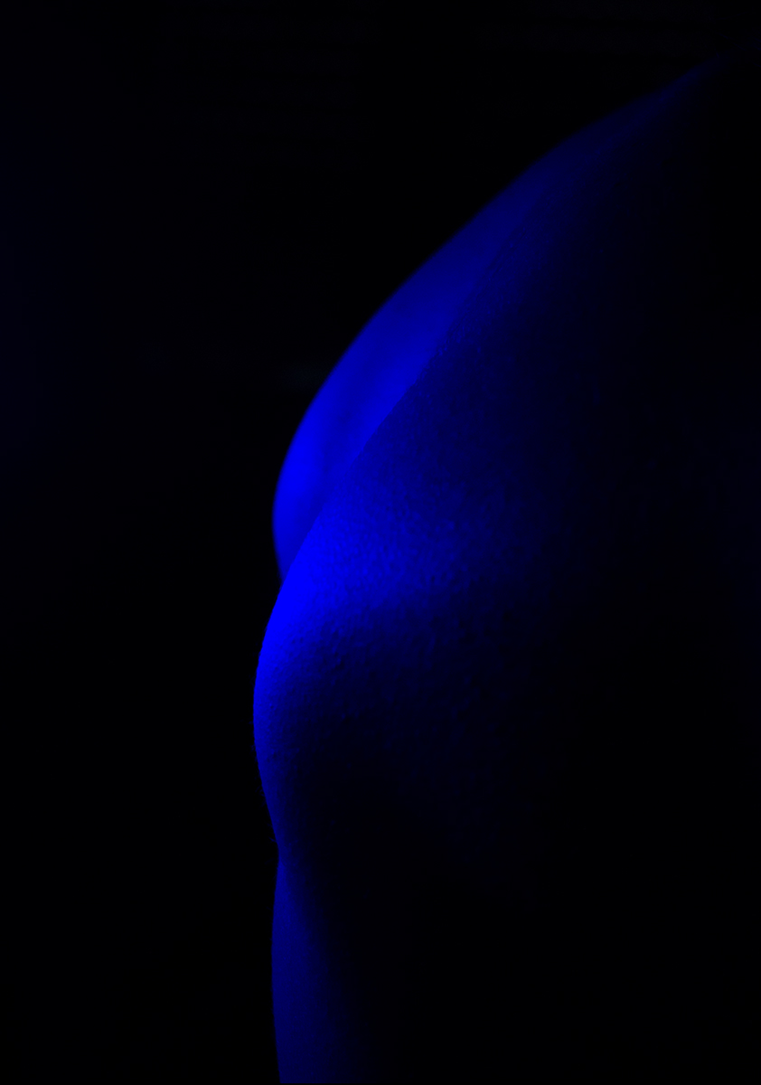 Shoulder blades (scapula)