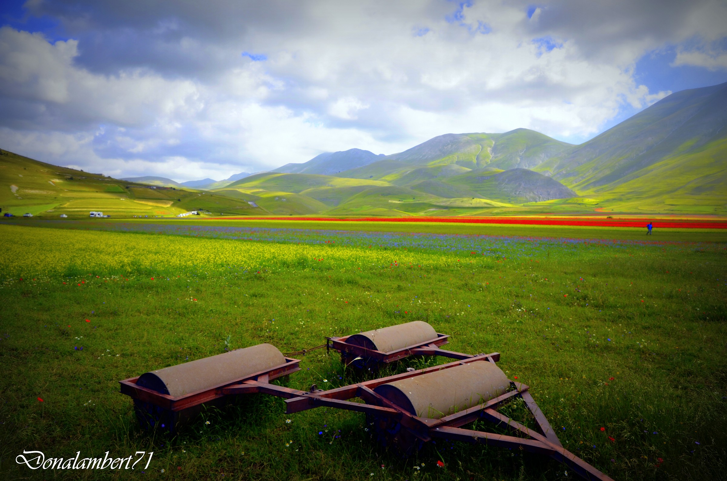 Castelluccio infiorata