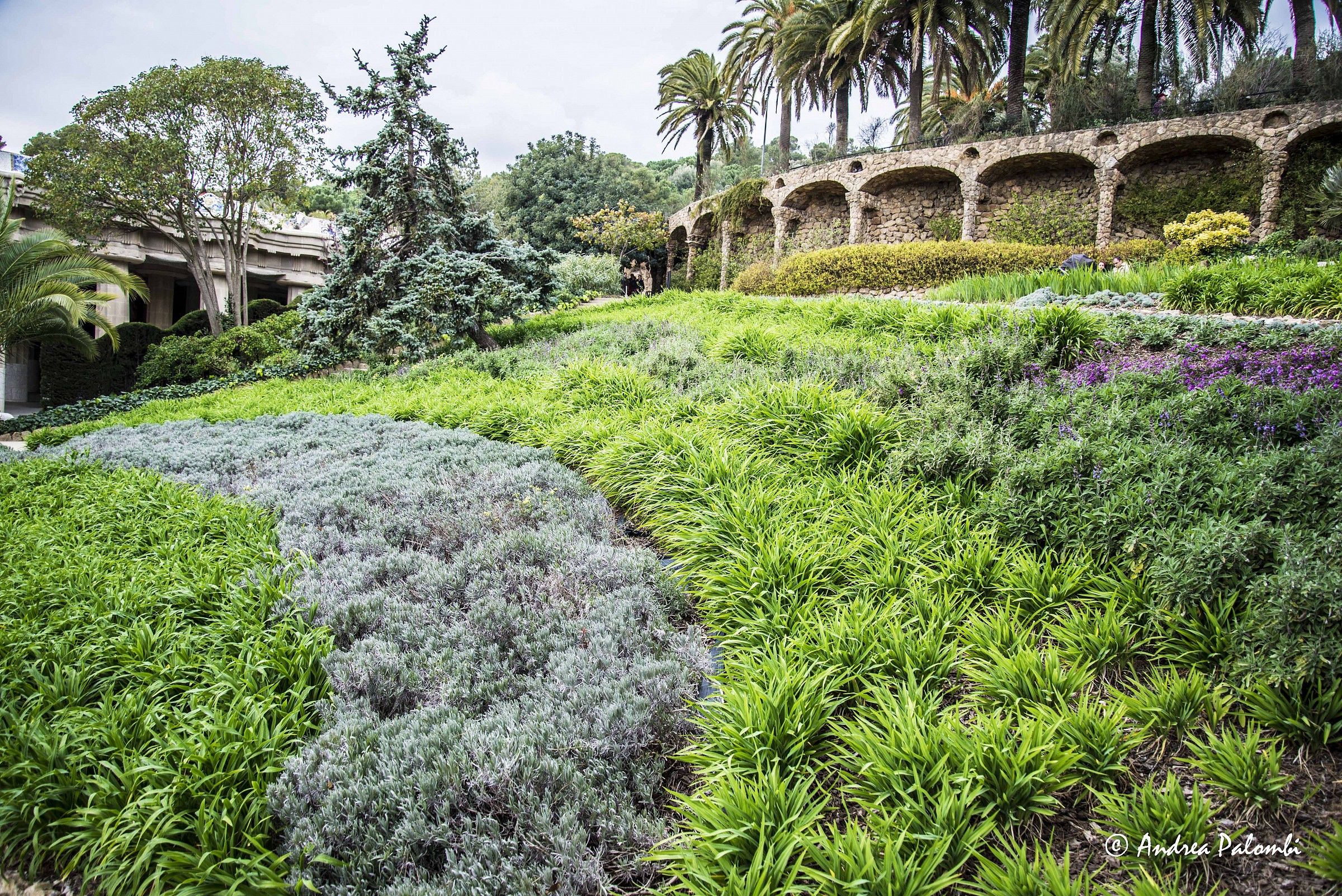Gardens Park Guell