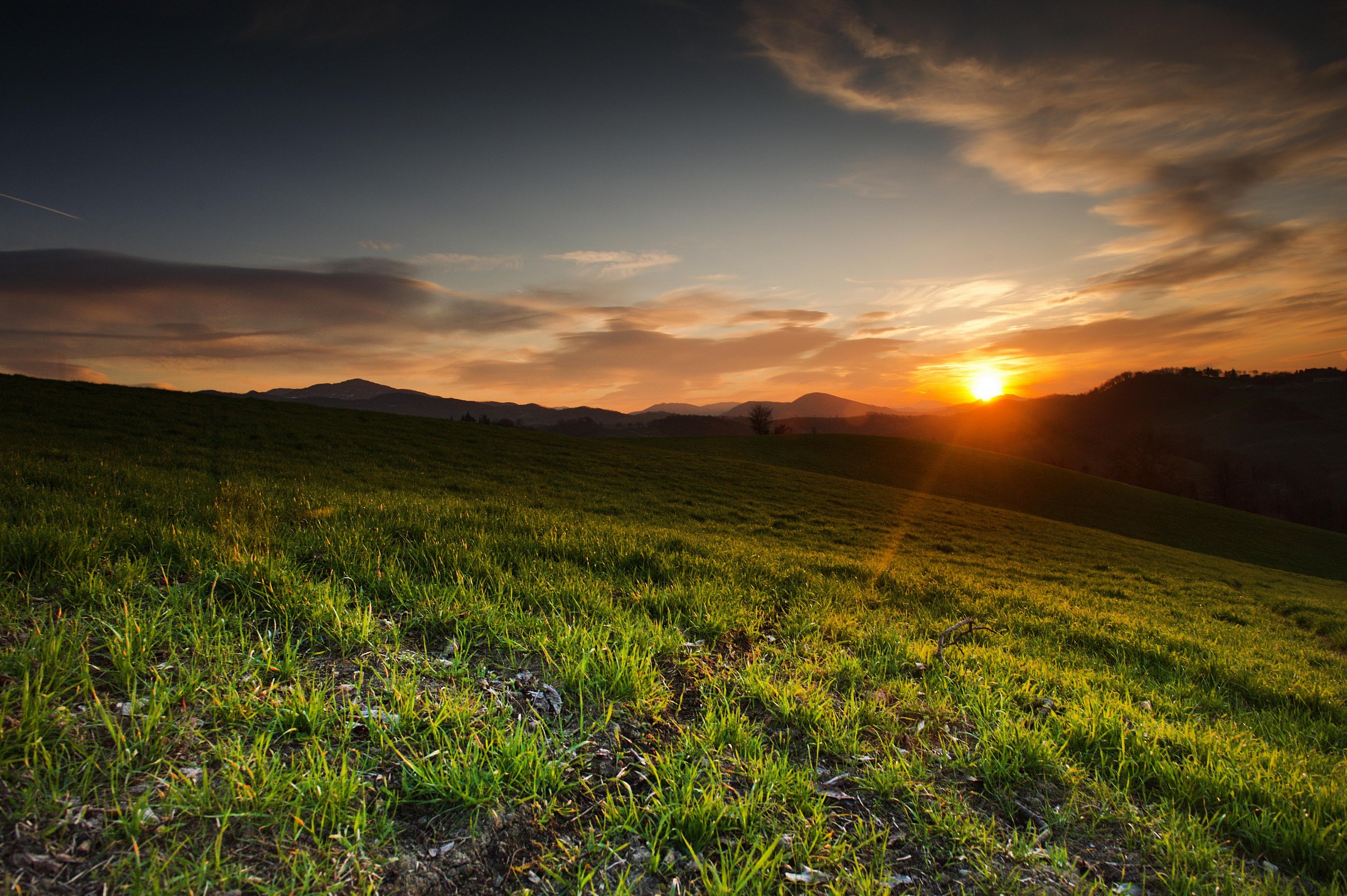 Last light on the lawn