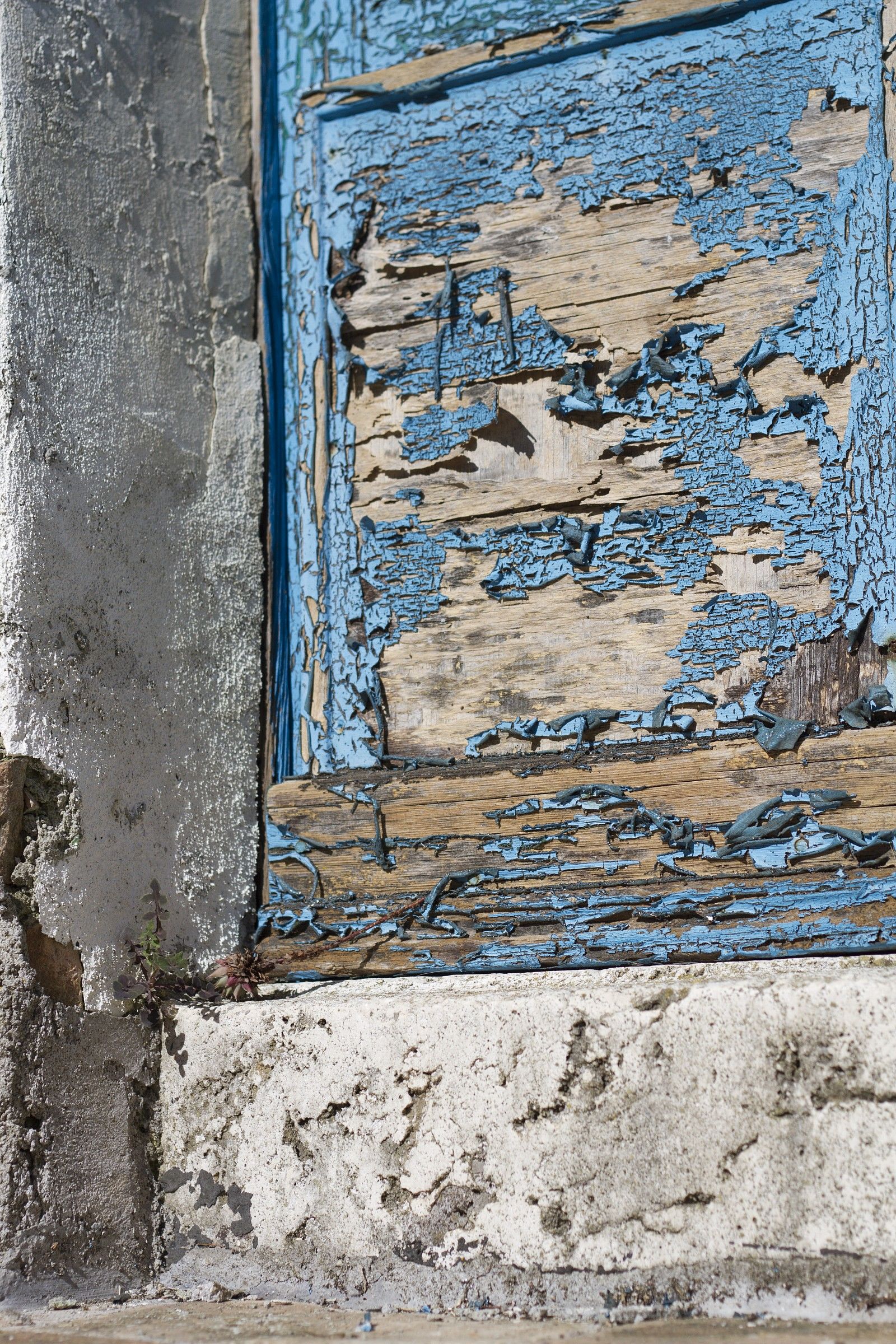 detail blue door