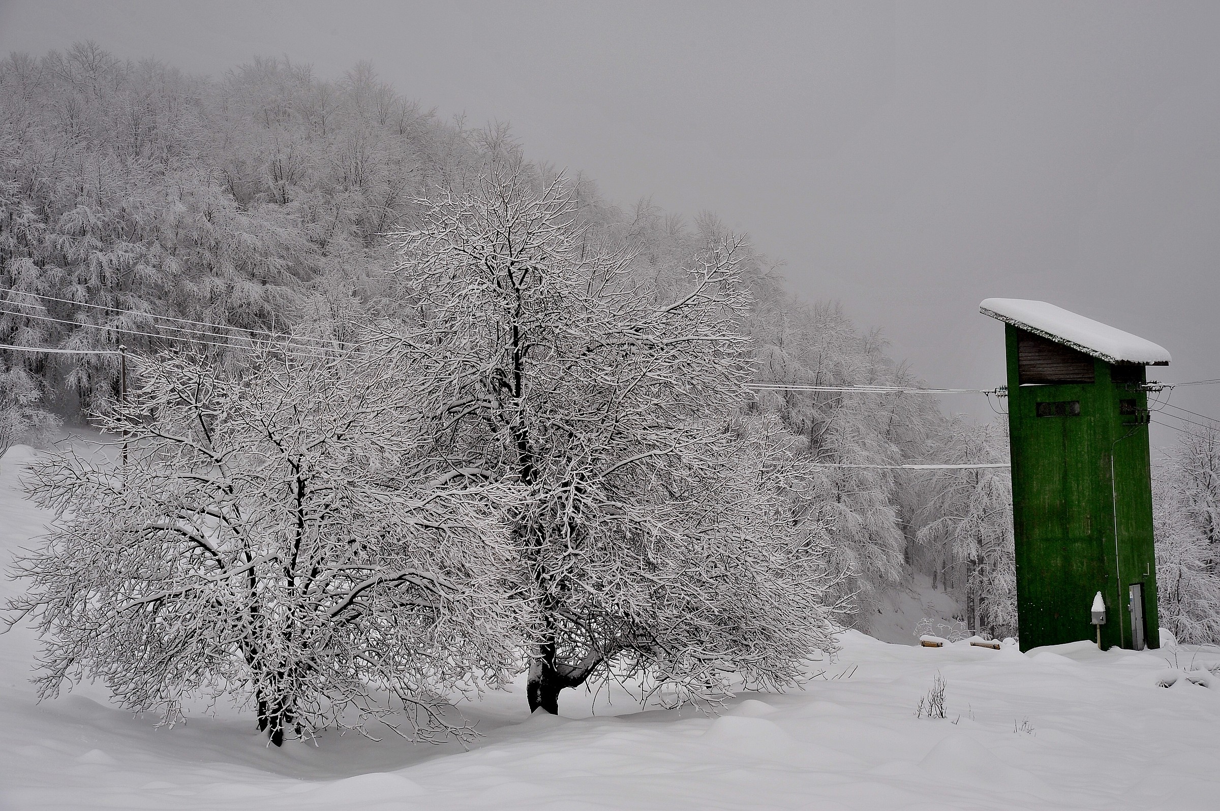 Monochromatic natural