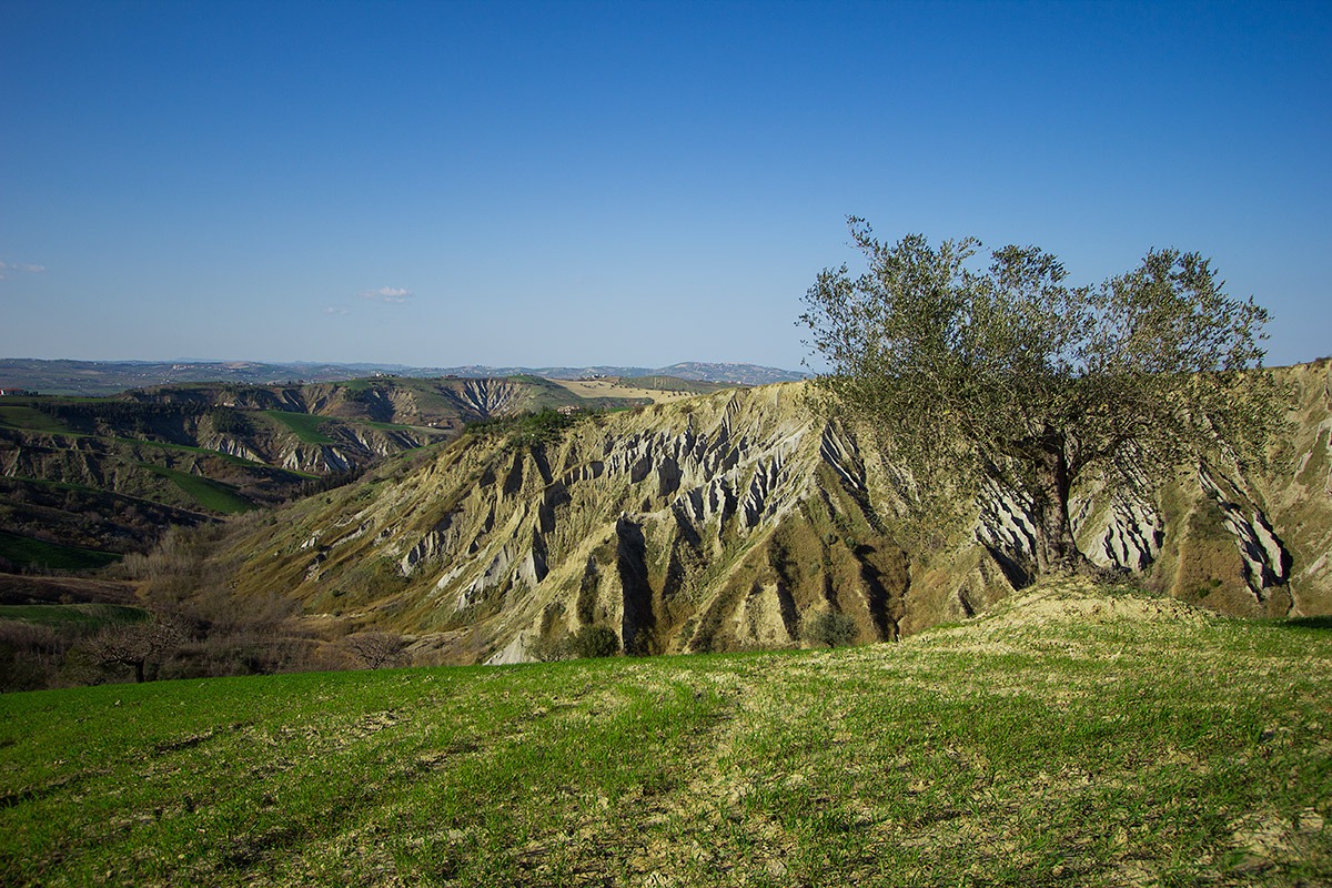 Calanchi di Atri (Abruzzo)