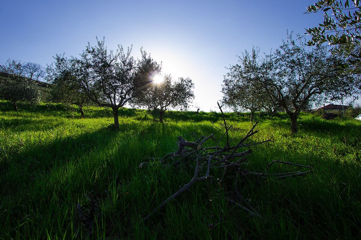 Nei pressi di Montefino (Abruzzo)