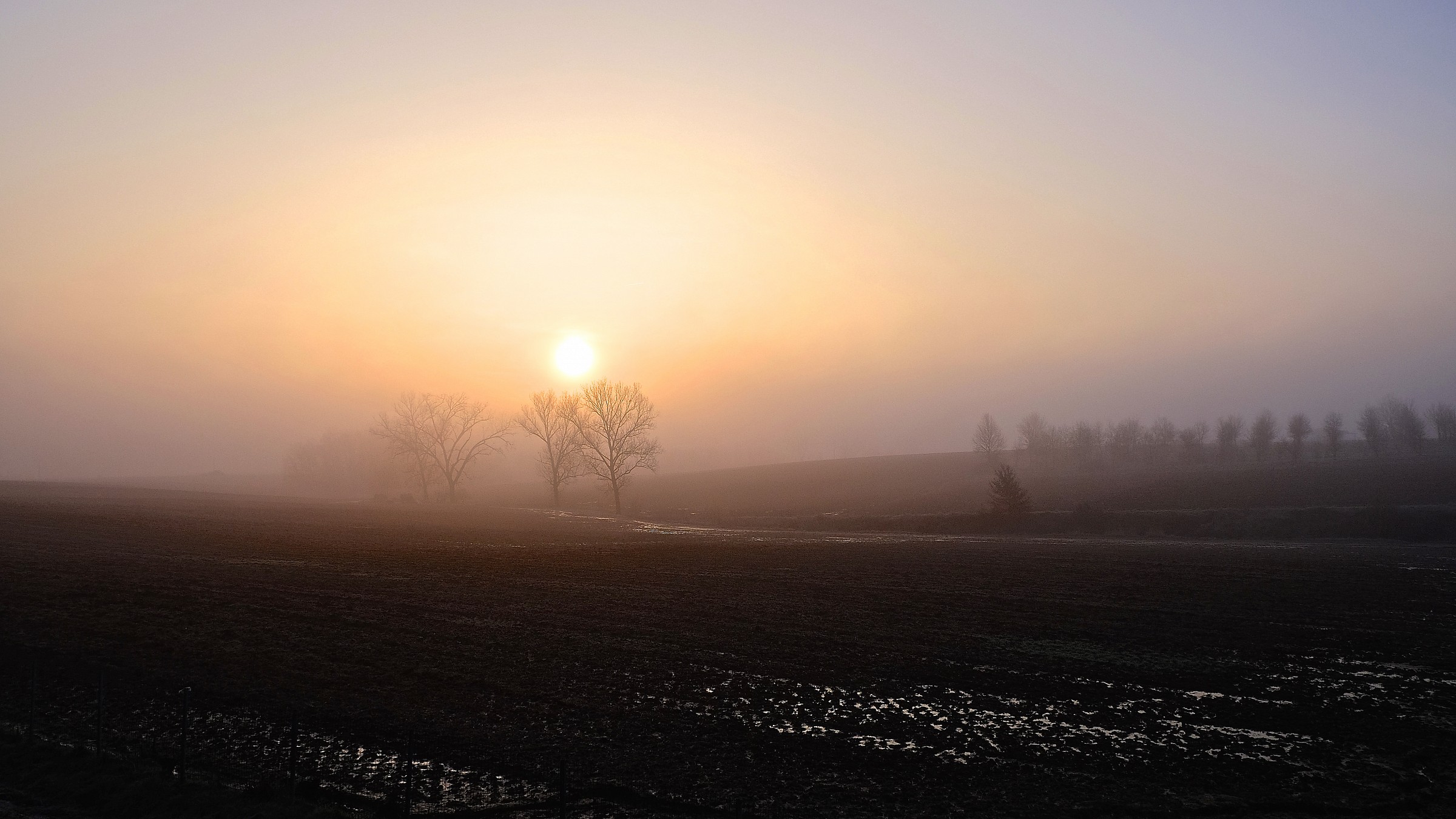 Fog ... in Val Padana 2