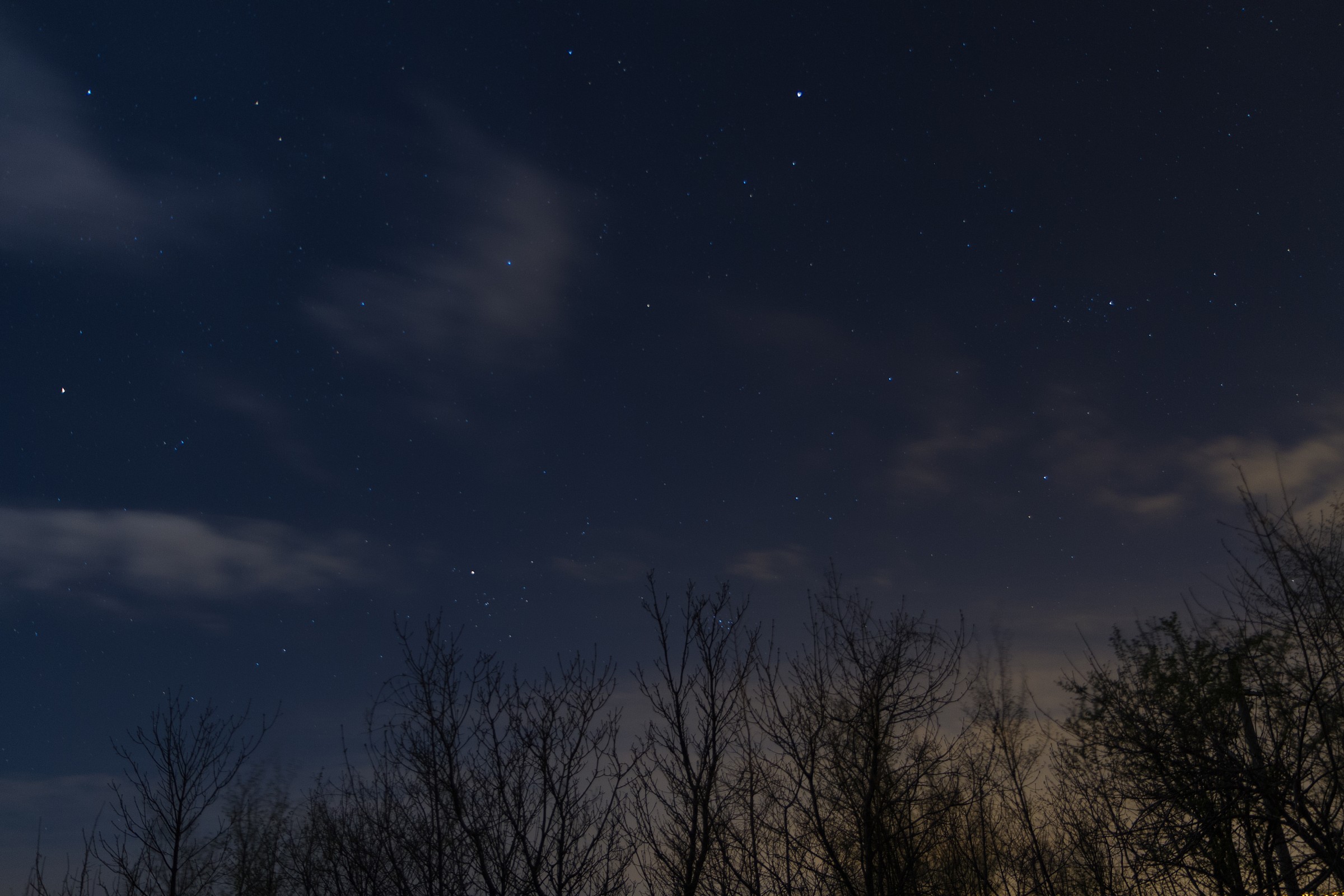 ... come le stelle del cielo ...