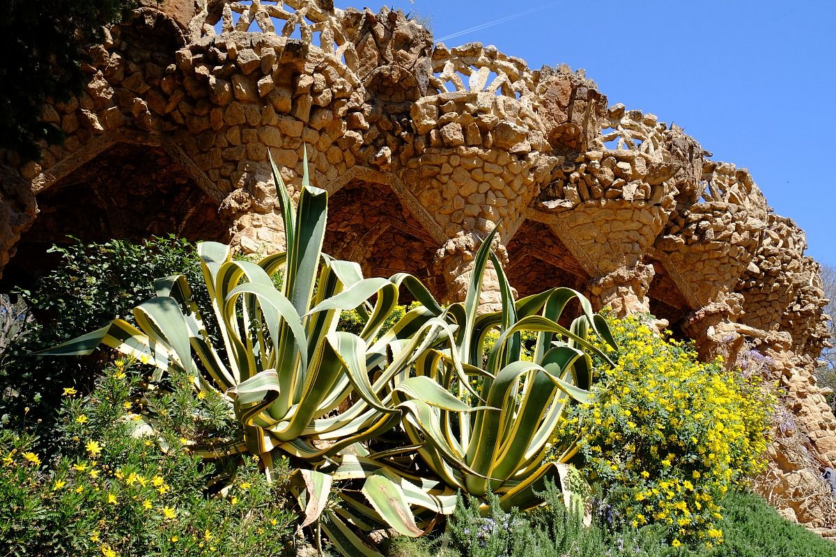 I colori di Parc Guell