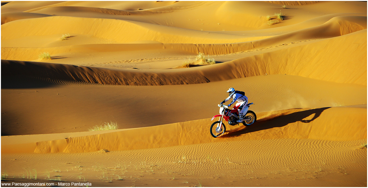 Desert motocross