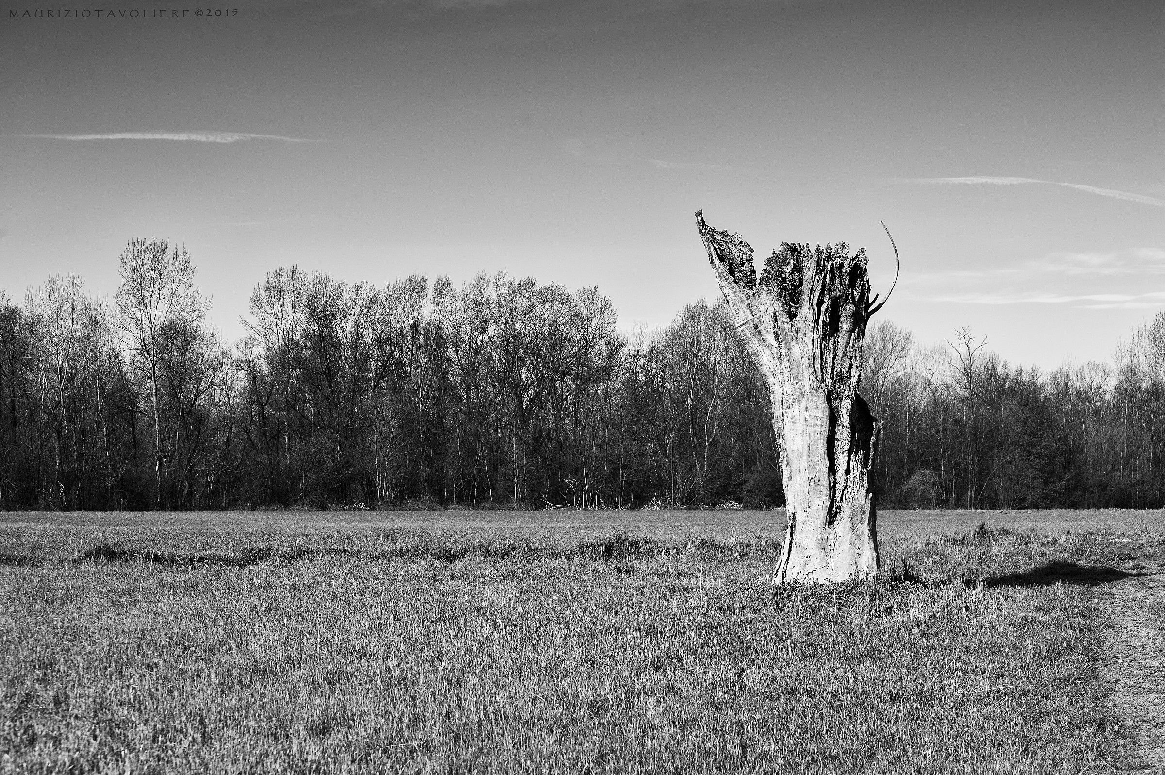 Heart song tribute ..