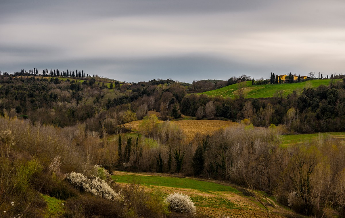 Tuscan hills