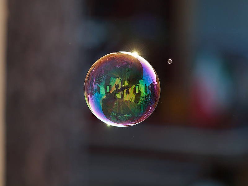 Un Escher al naturale...