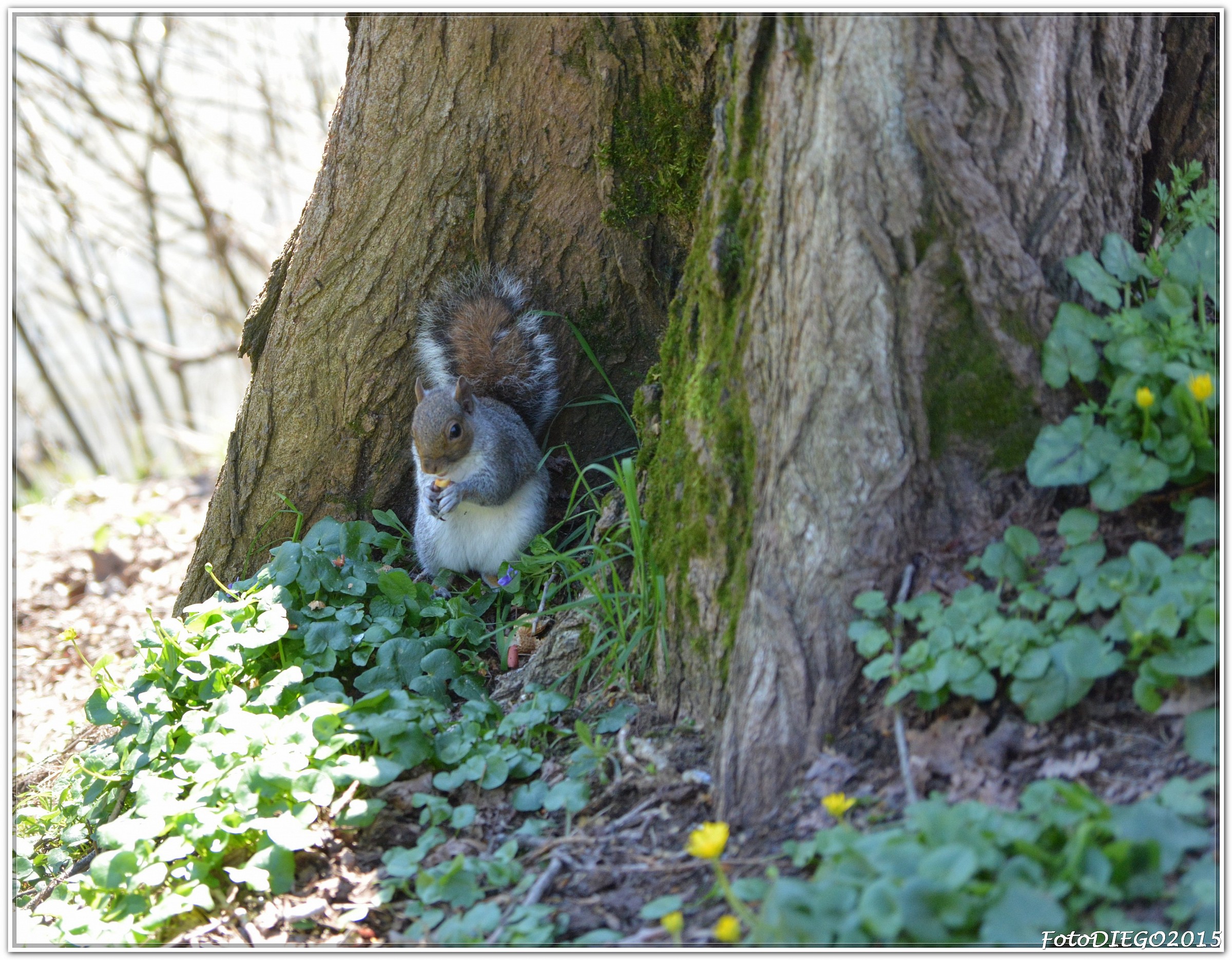 Si prega di non disturbare, sono in pausa pranzo