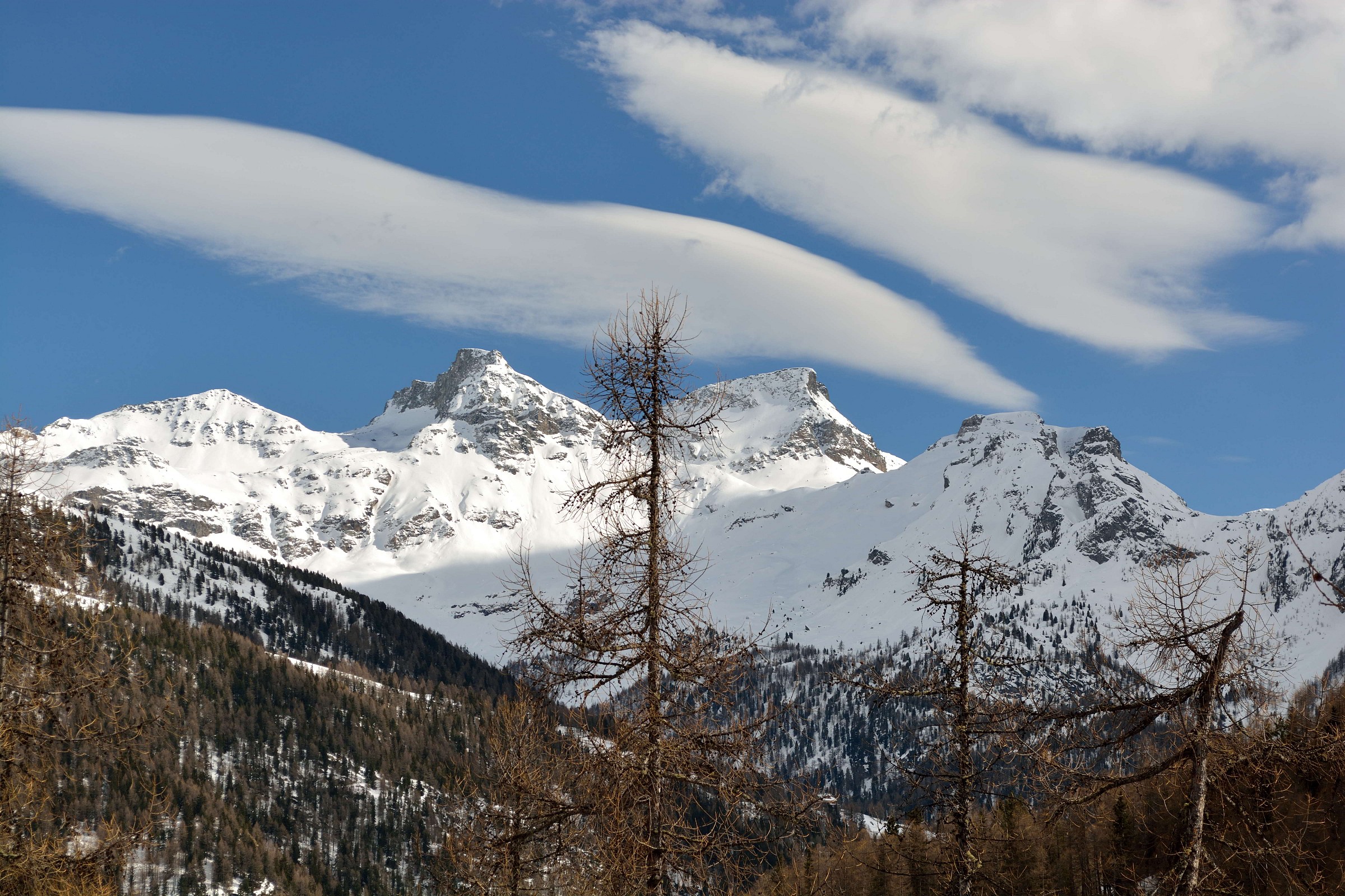 Saturday, 3/28/2015 caispolata Saint-Jacques? towards the re