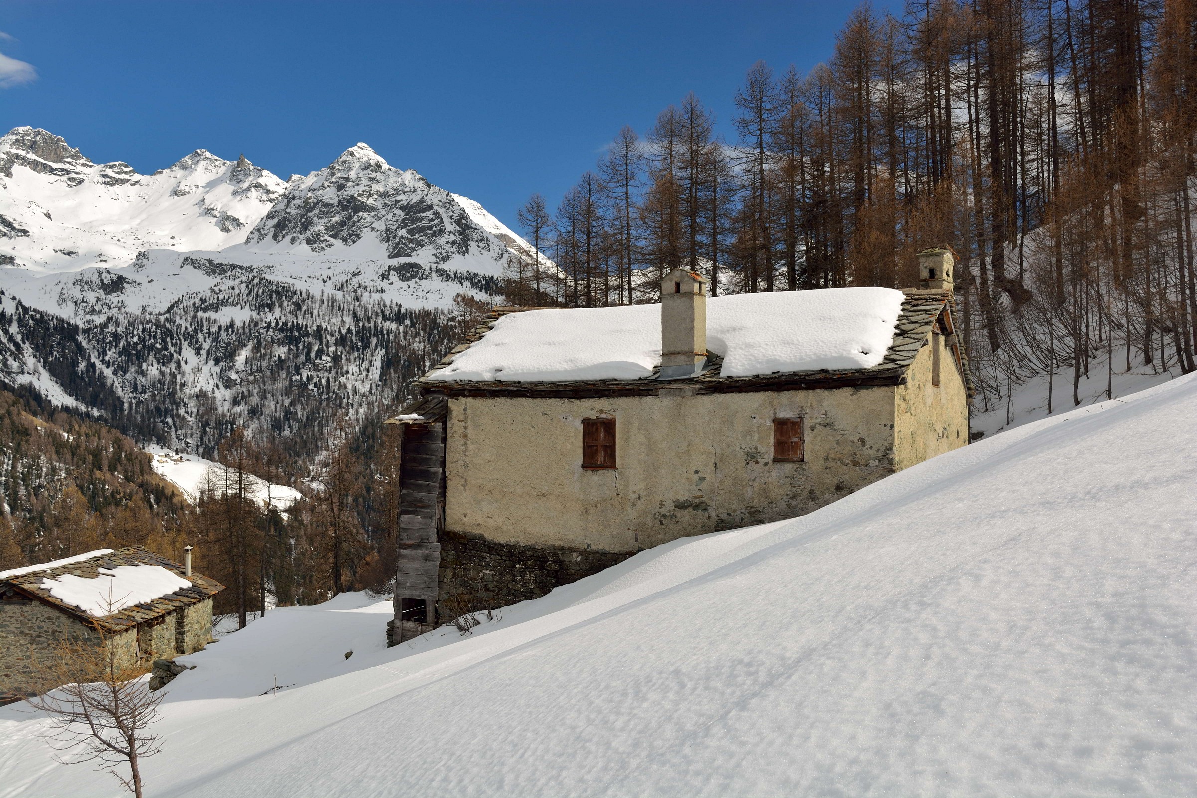 Saturday, 3/28/2015 caispolata Saint-Jacques? towards the re