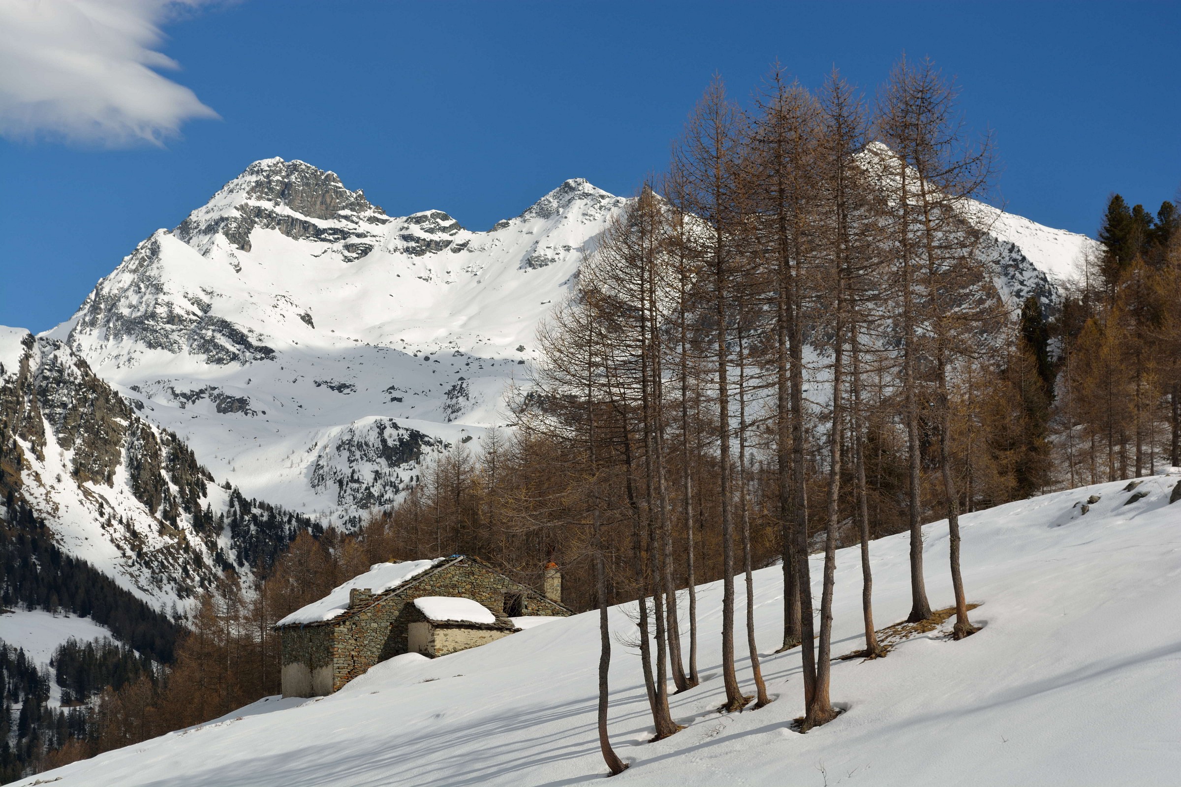 Saturday, 3/28/2015 caispolata Saint-Jacques