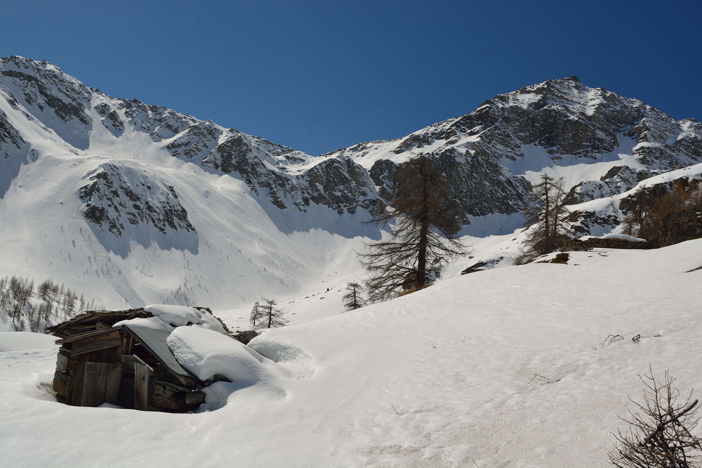 Saturday, 3/28/2015 caispolata Saint-Jacques