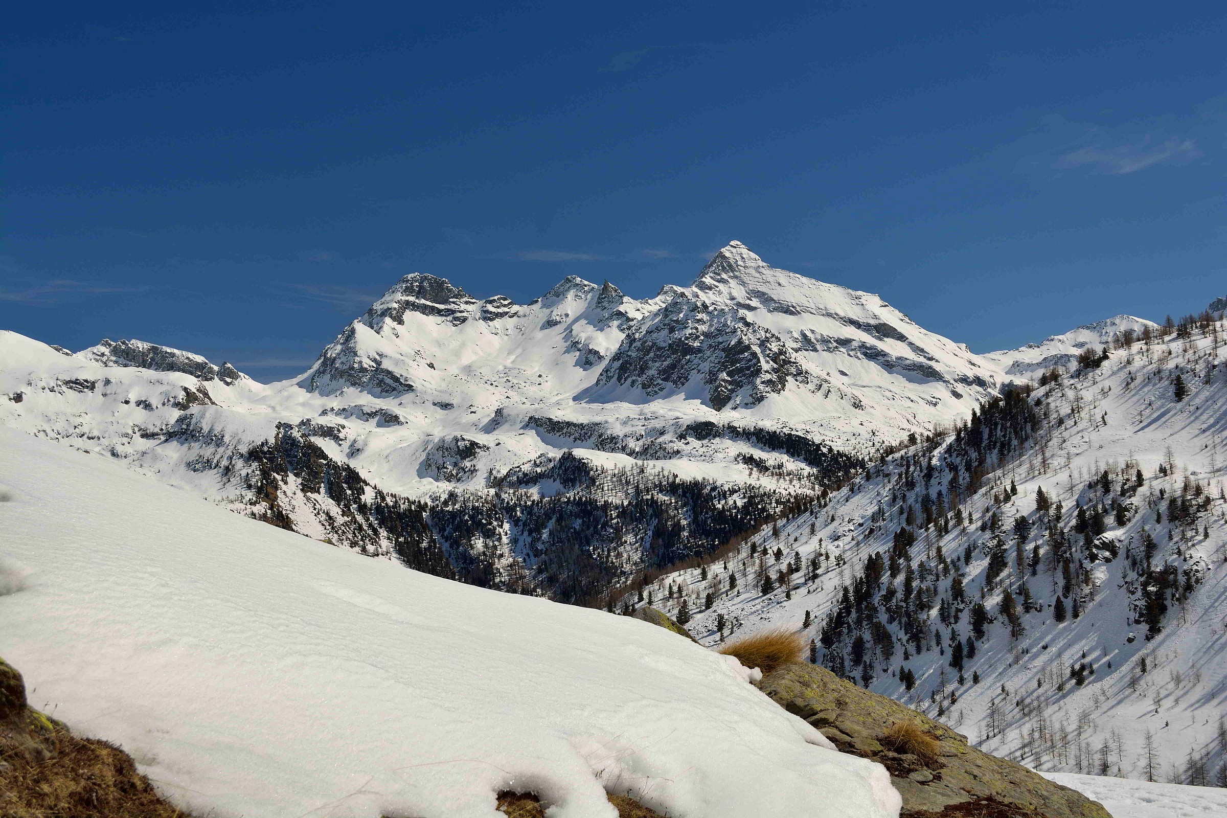 Saturday, 3/28/2015 caispolata Saint-Jacques