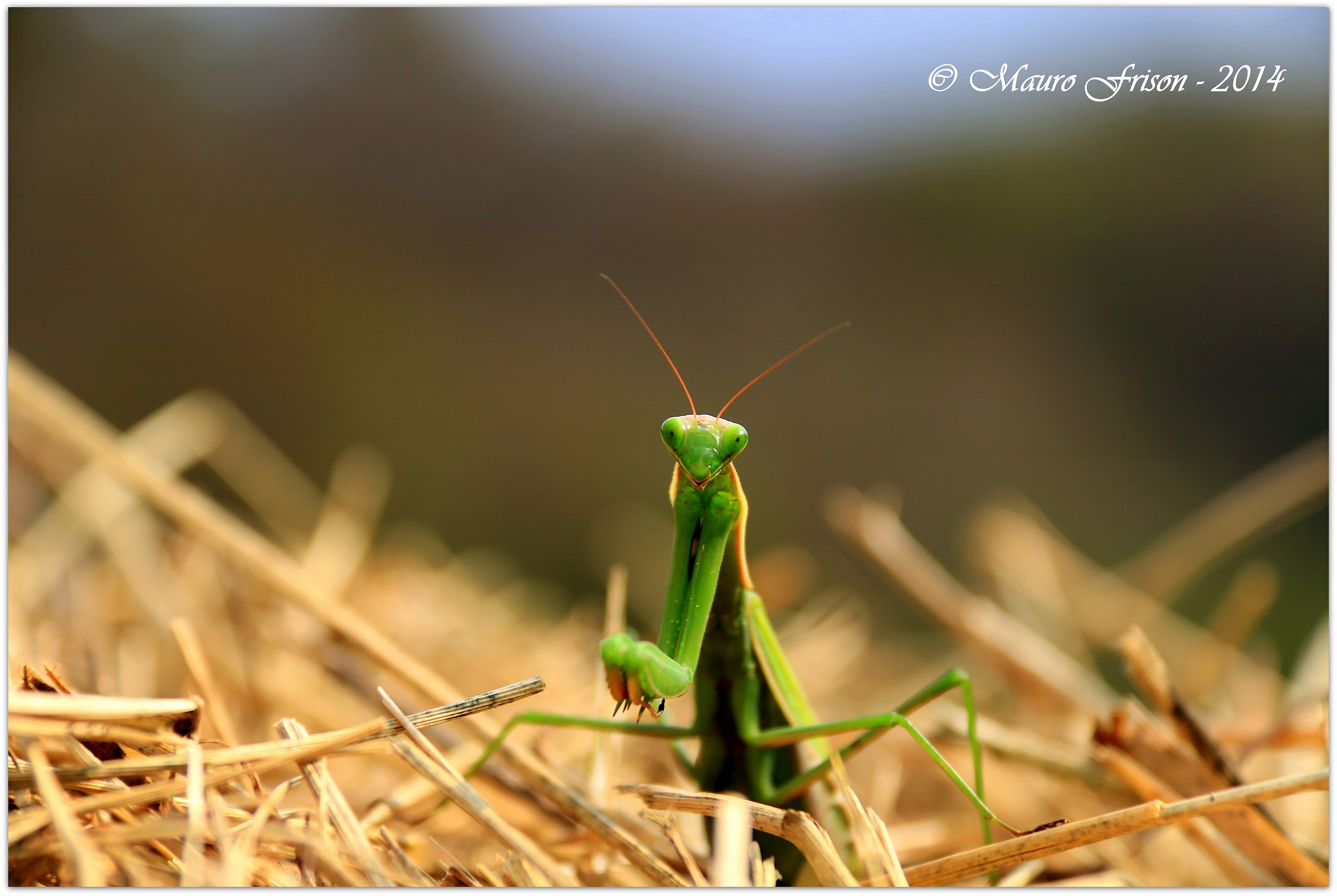 Smile! You're on candid camera